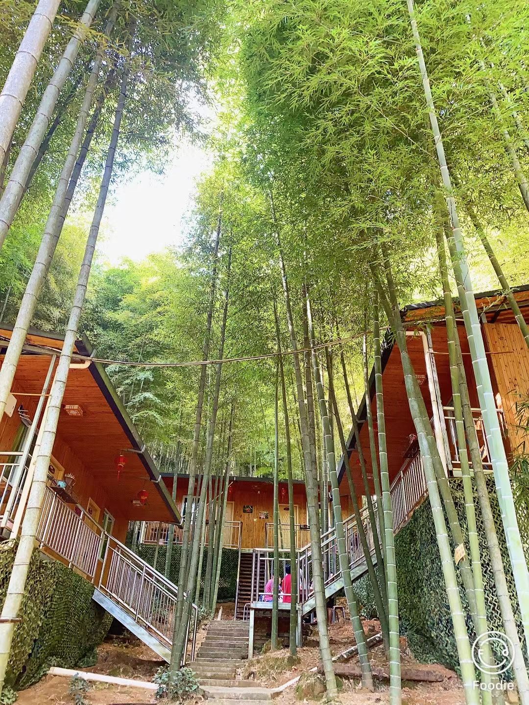 宝珠一号百合文化园旅行图片 2