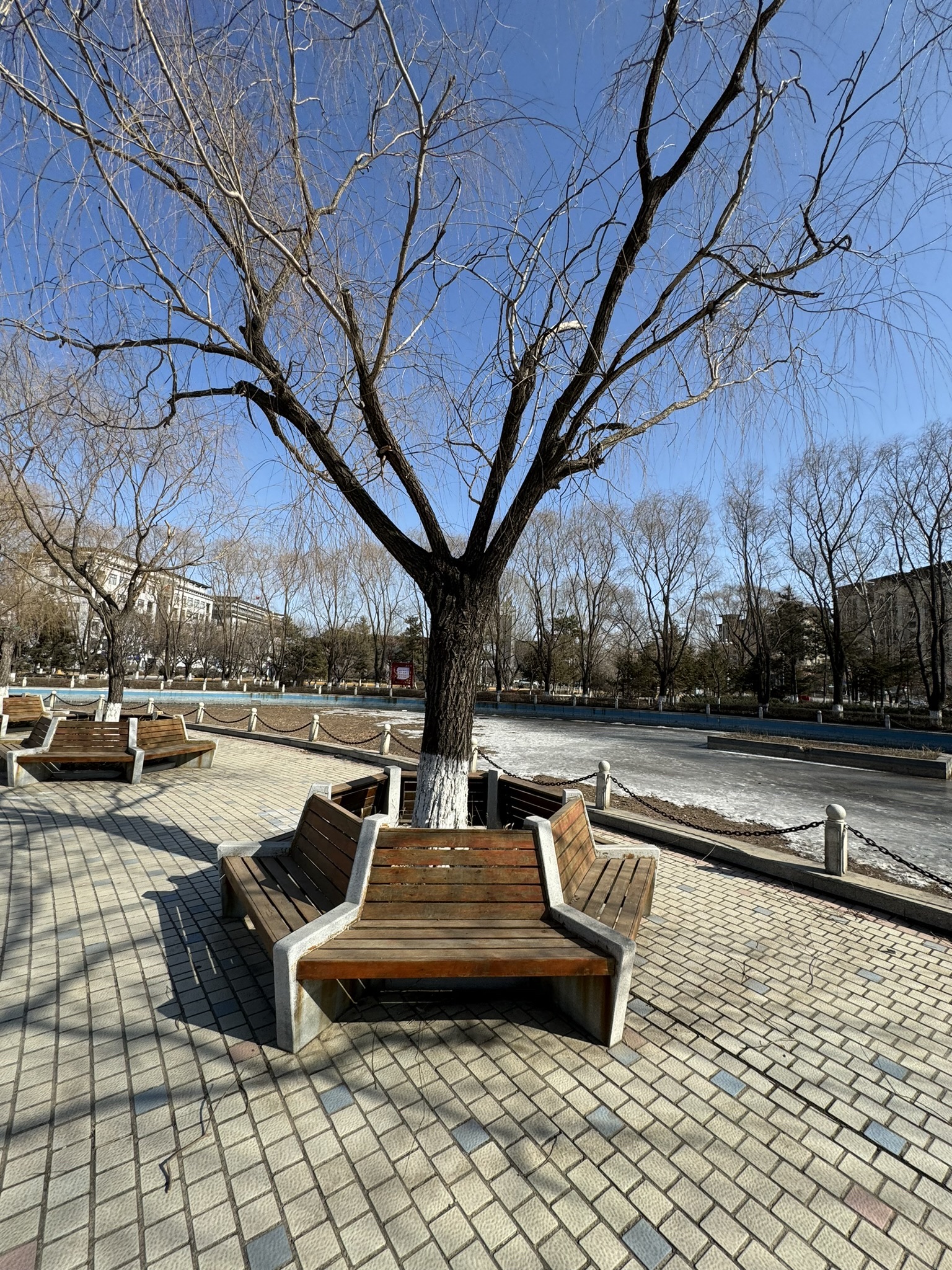 府前街心公园