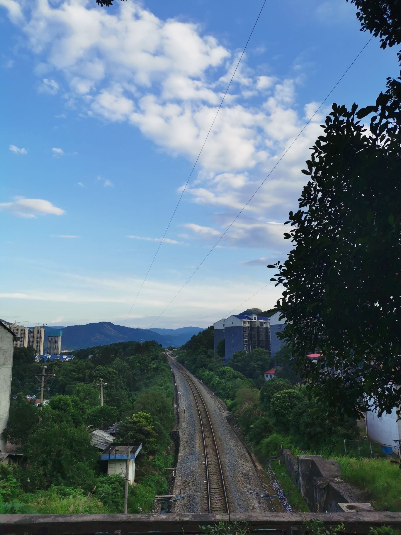 永山公园旅行图片 3