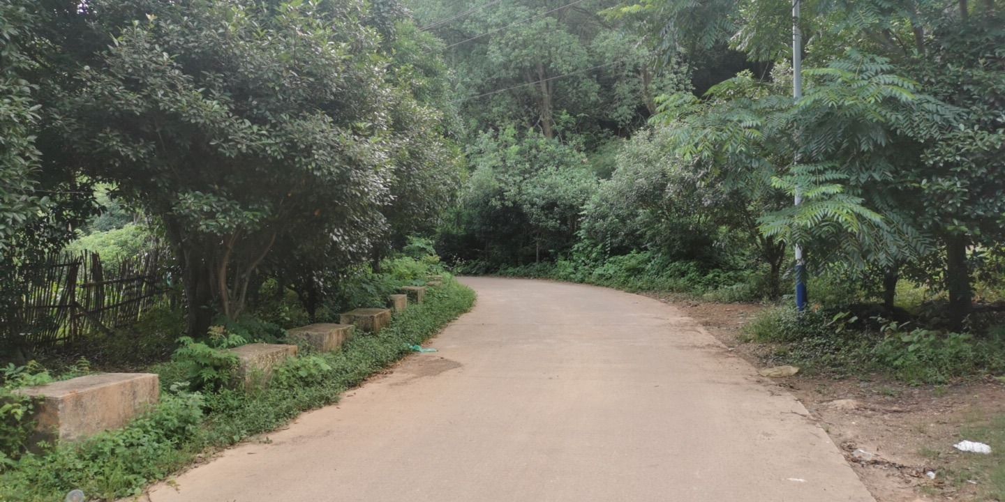 永山公园旅行图片 2