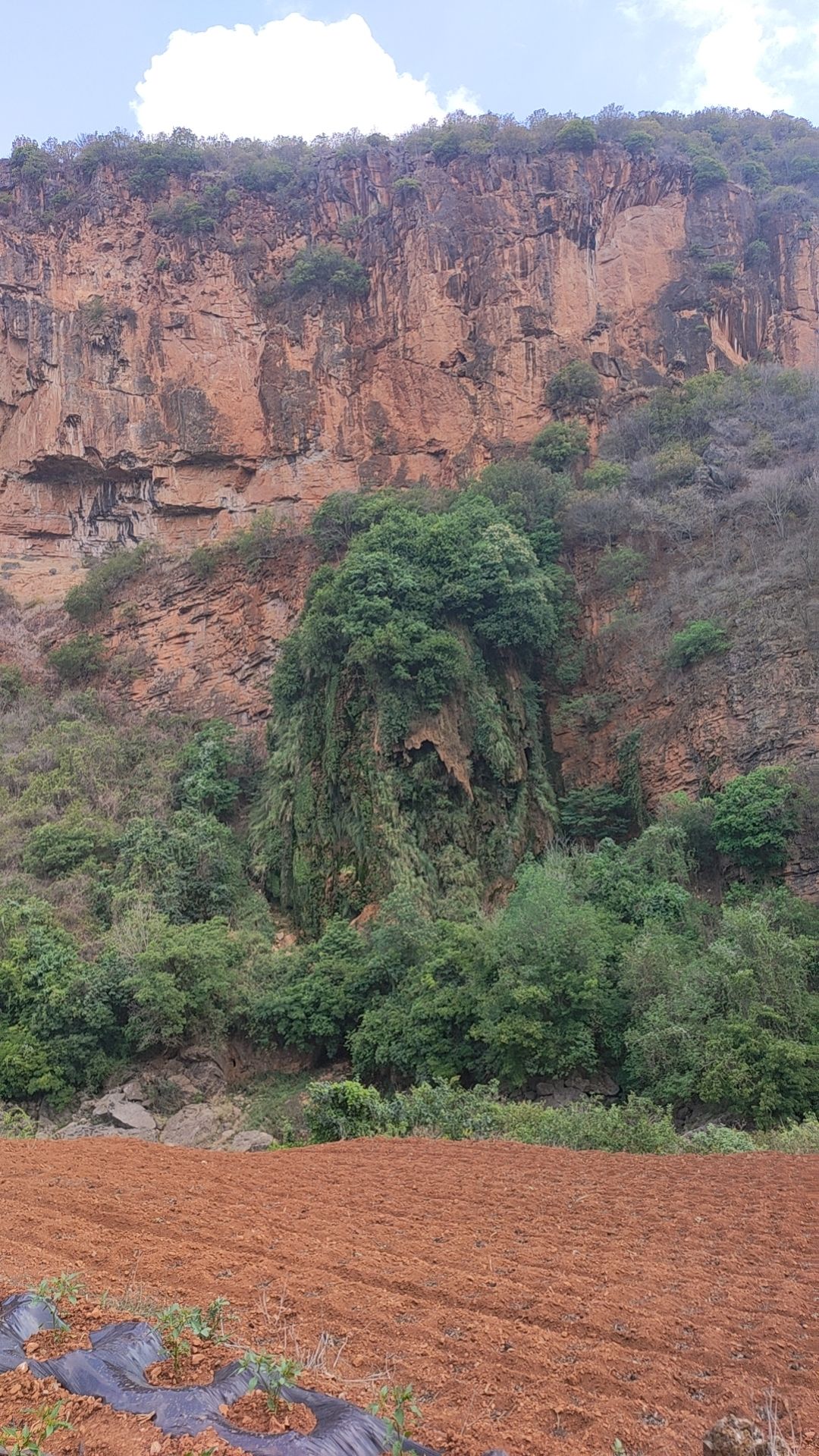 白甸镇国策主题公园