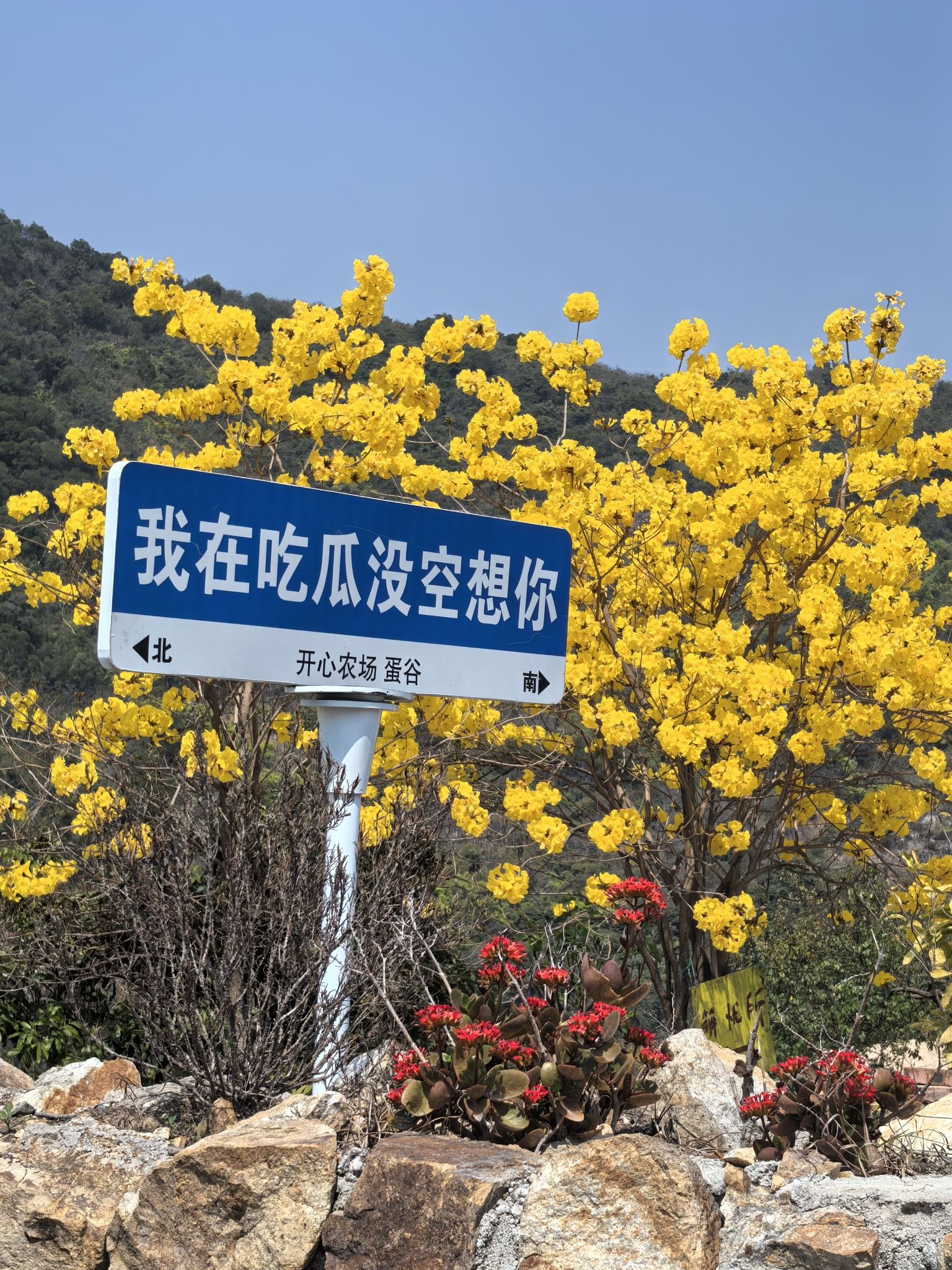果果开心农场