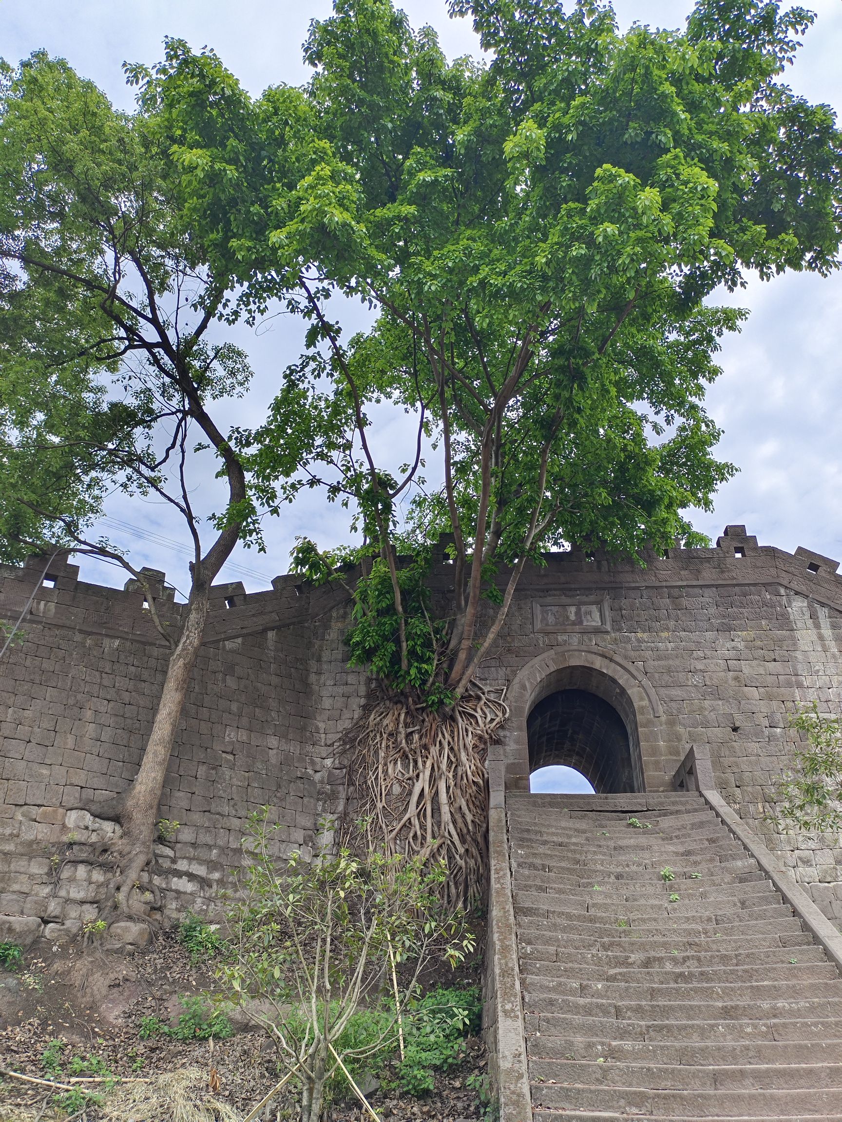 神臂城遗址旅行图片 2