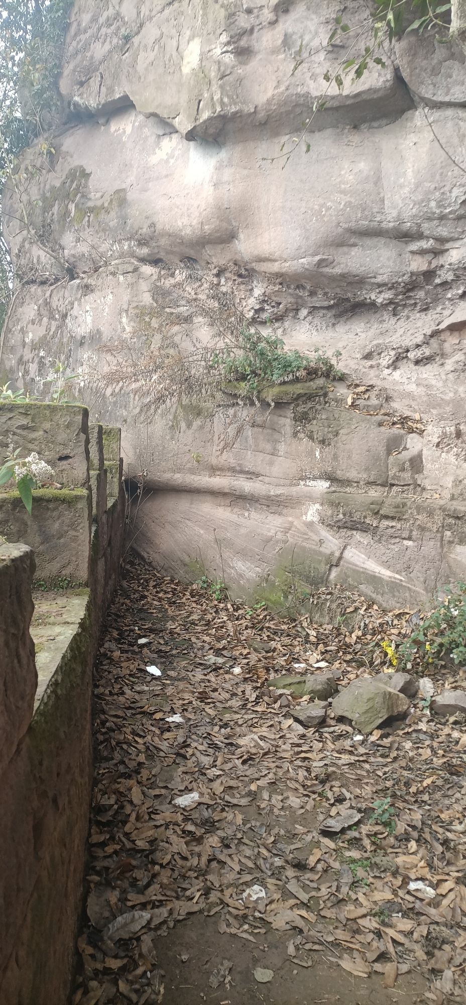 神臂城遗址旅行图片 1