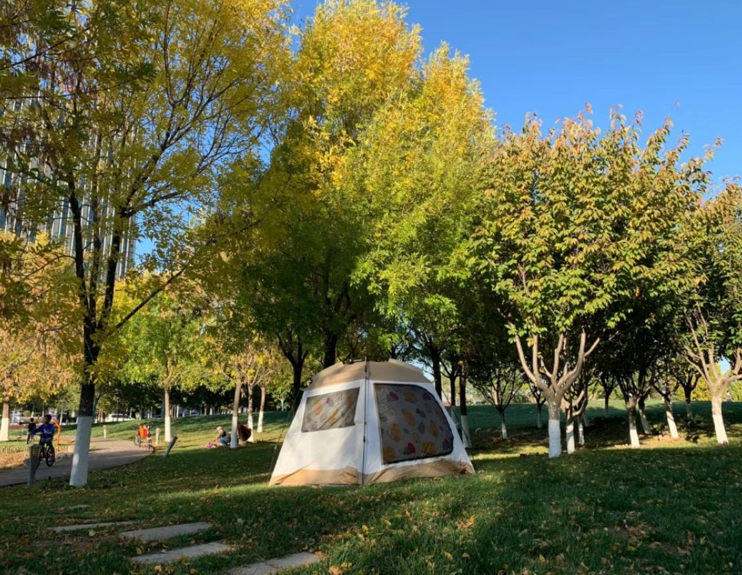 甘露溪公园旅行图片 1