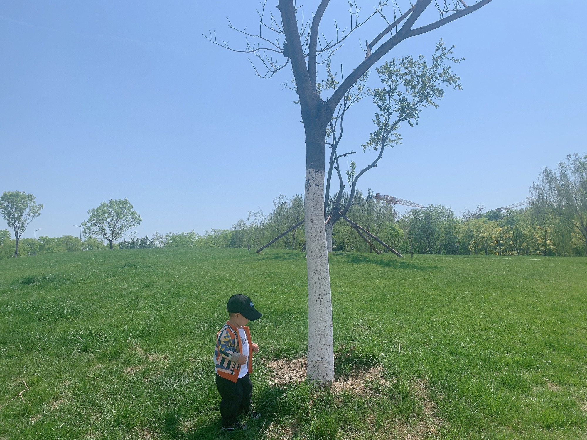 甘露溪公园旅行图片 2