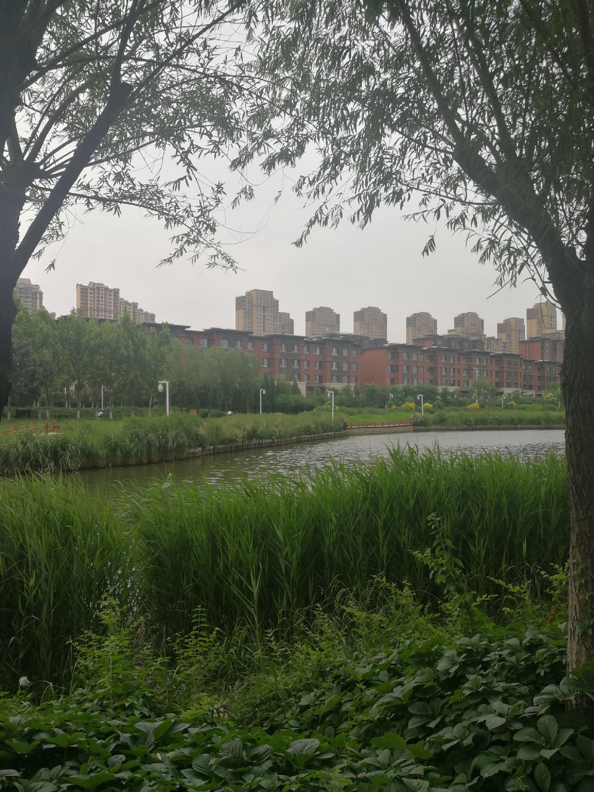 甘露溪公园旅行图片 1