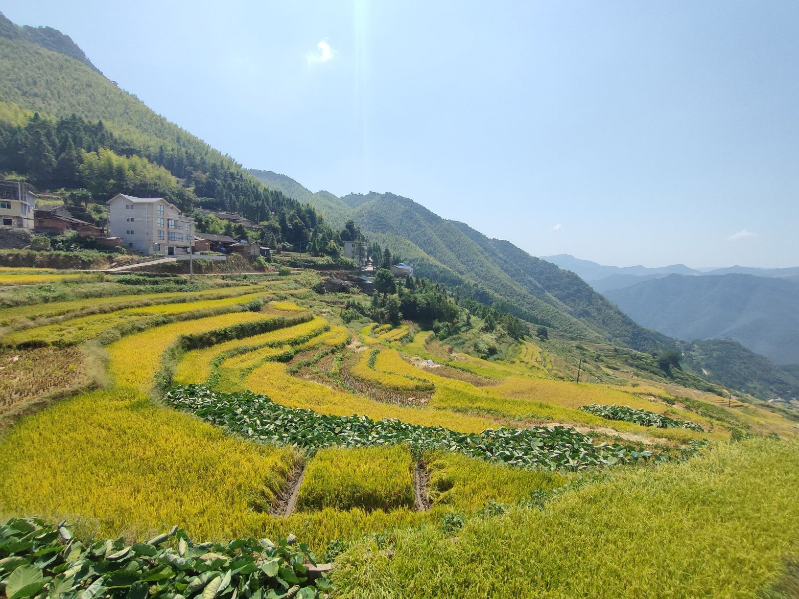 尤溪联合梯田旅行图片 2