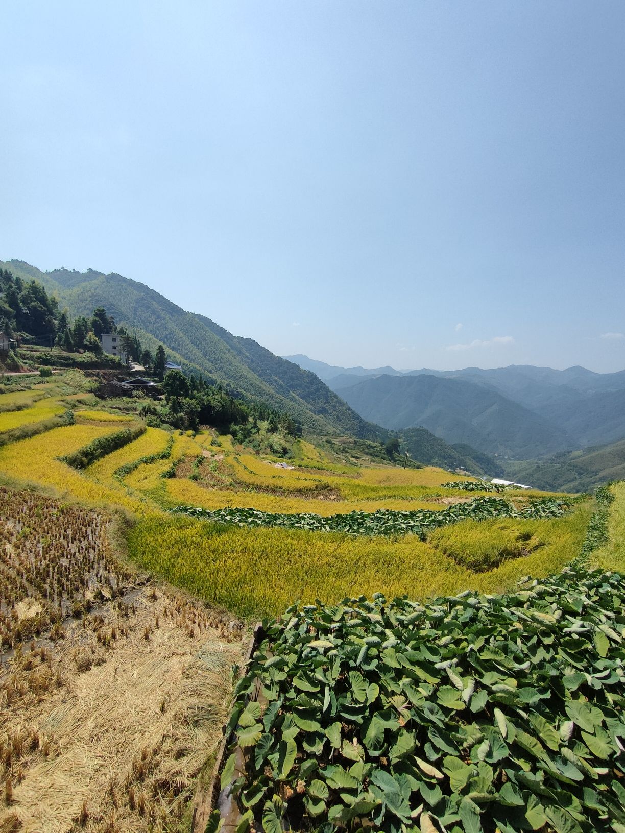 尤溪联合梯田旅行图片 3