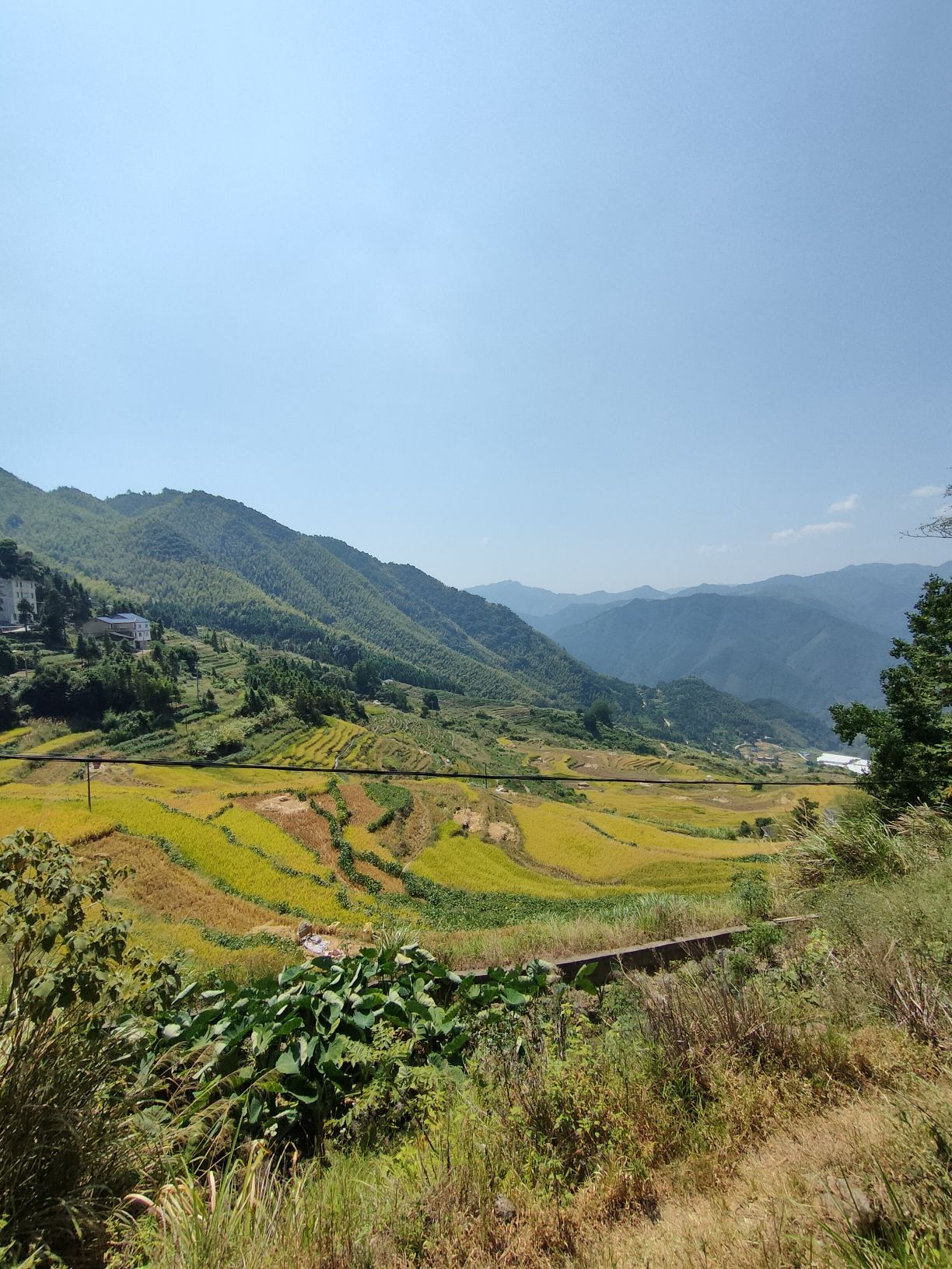 尤溪联合梯田旅行图片 1