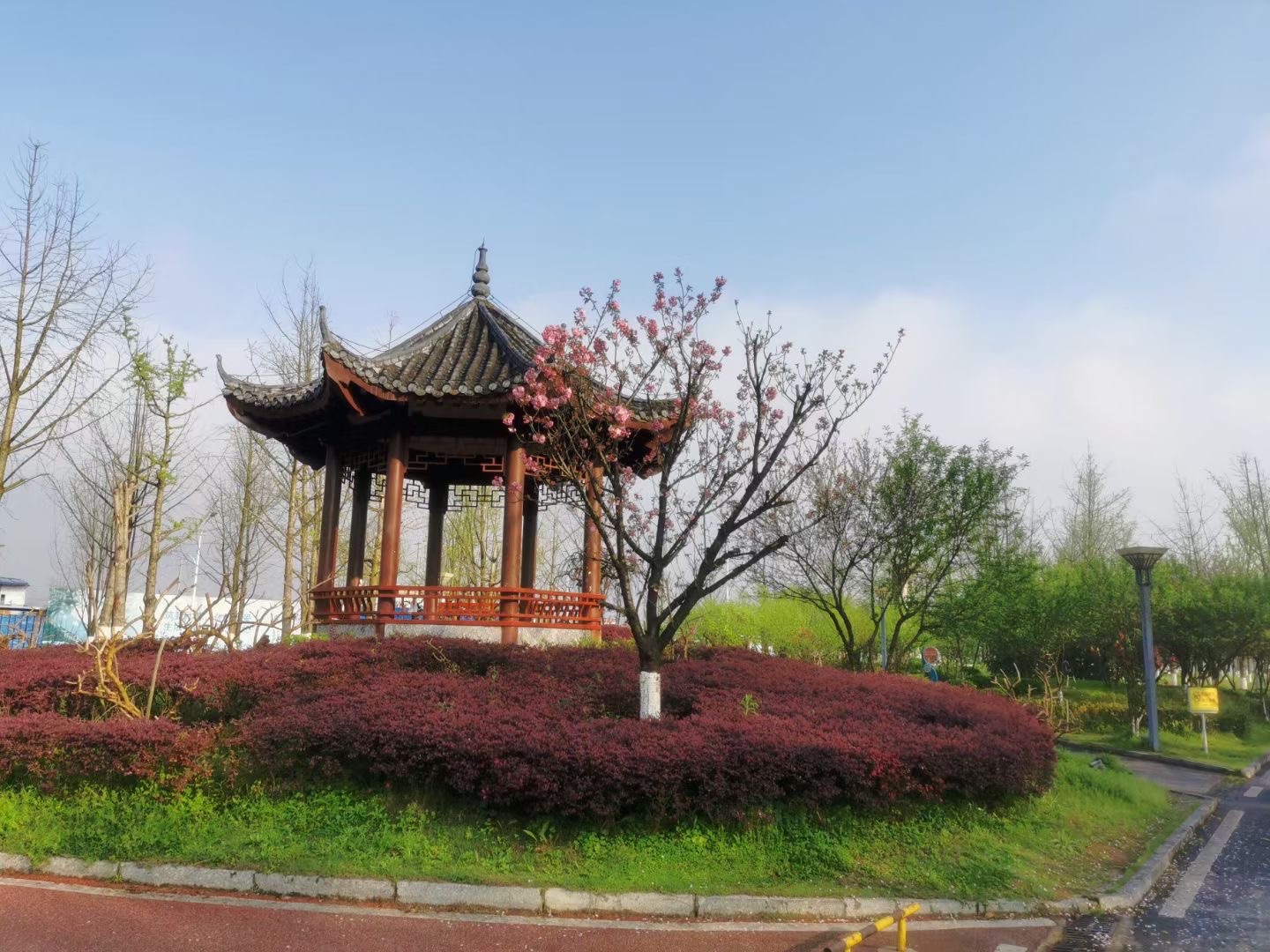 滨江公园旅行图片 1