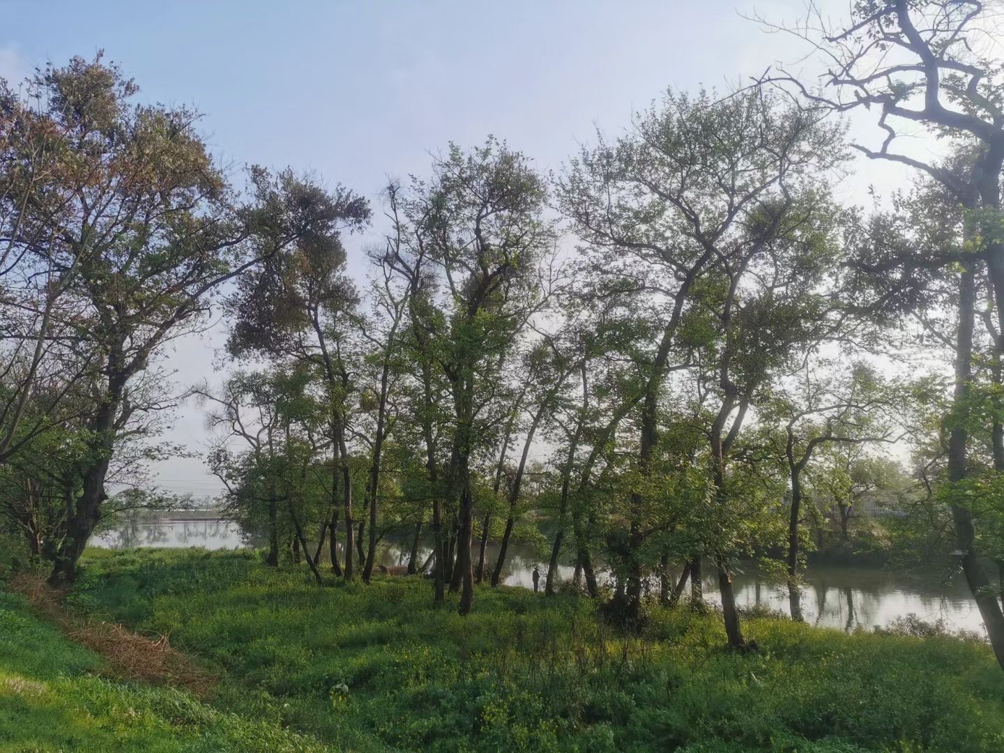 滨江公园旅行图片 2