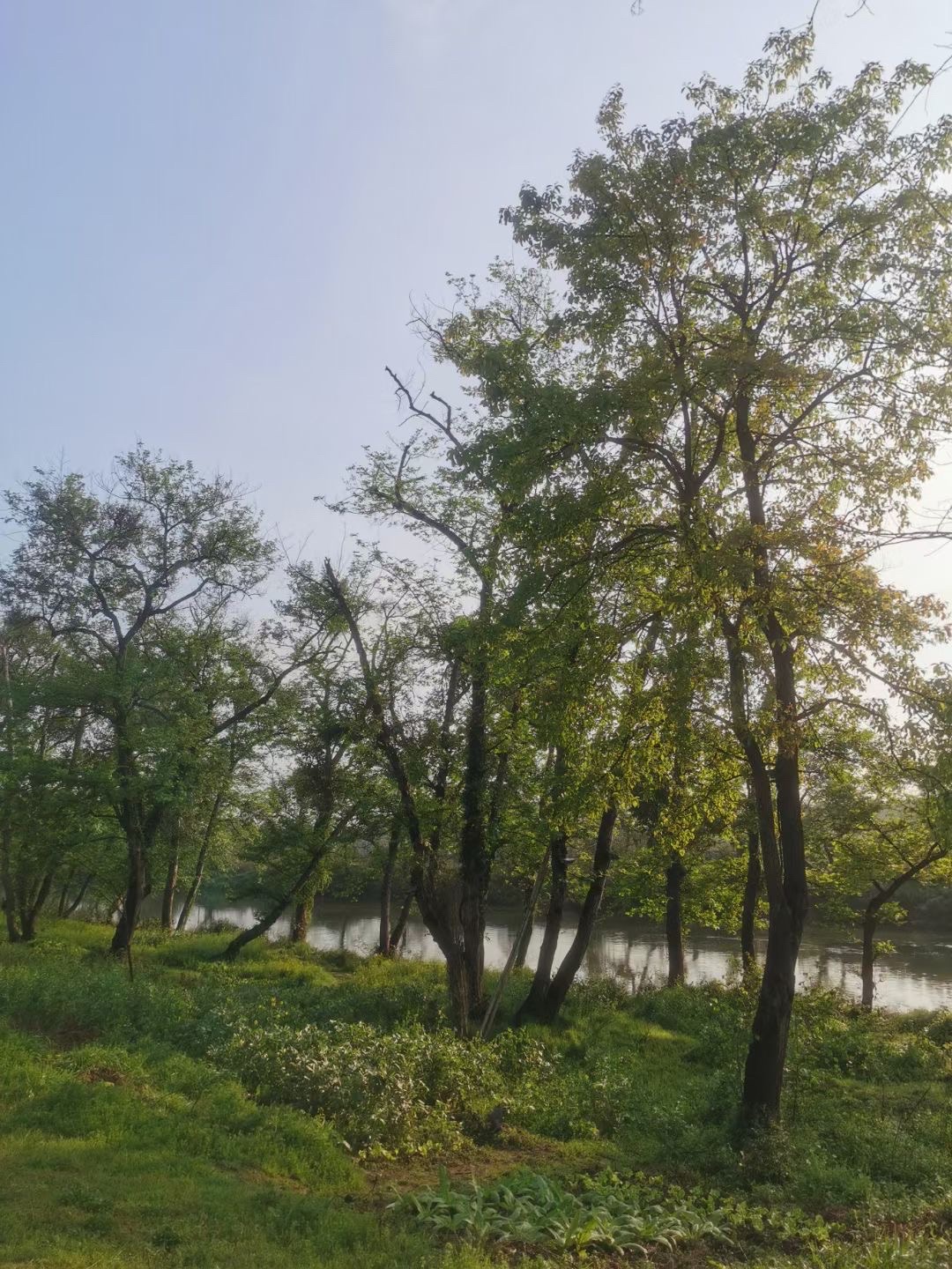 滨江公园旅行图片 3