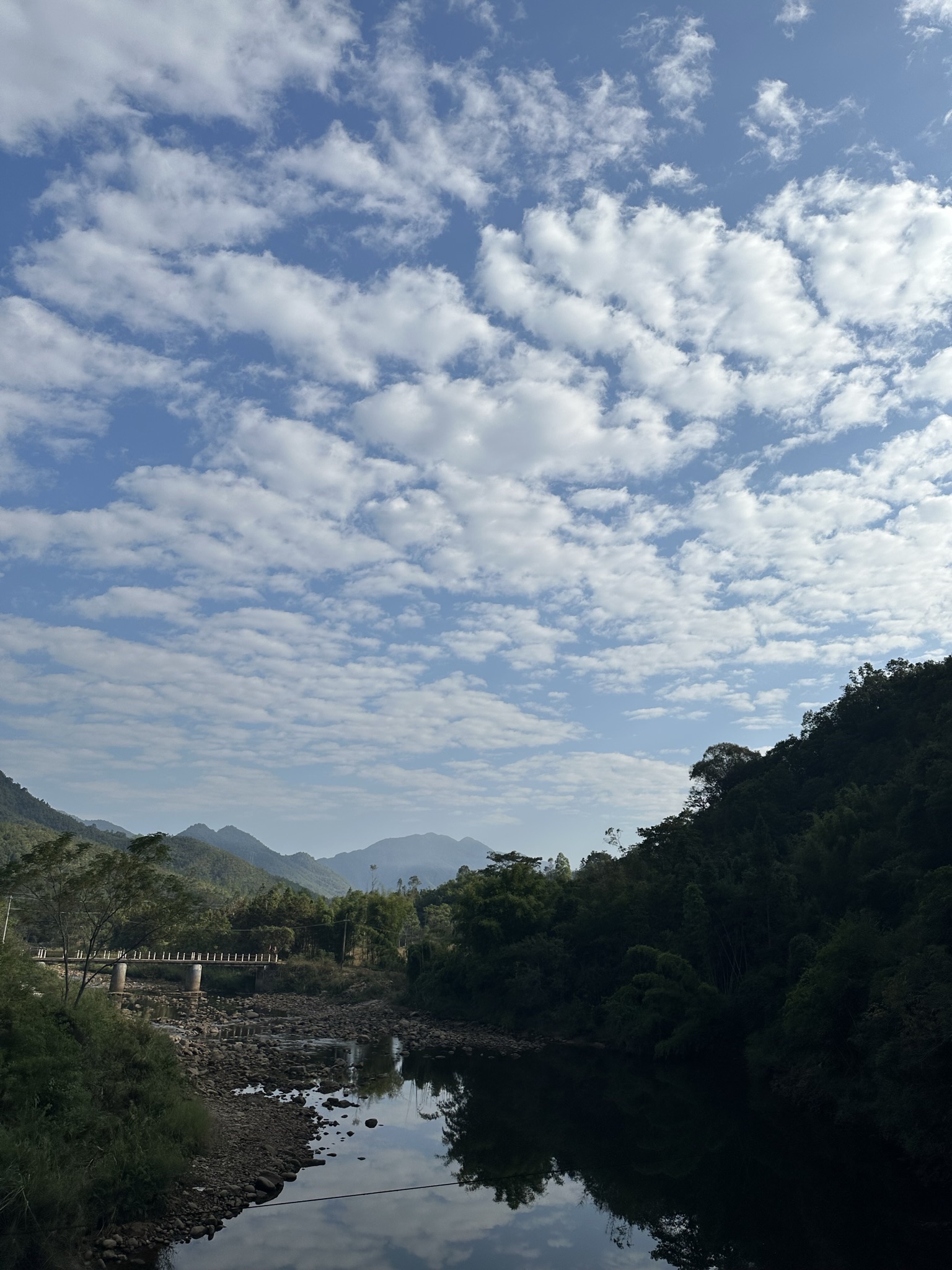 九潭铁索桥旅行图片 1