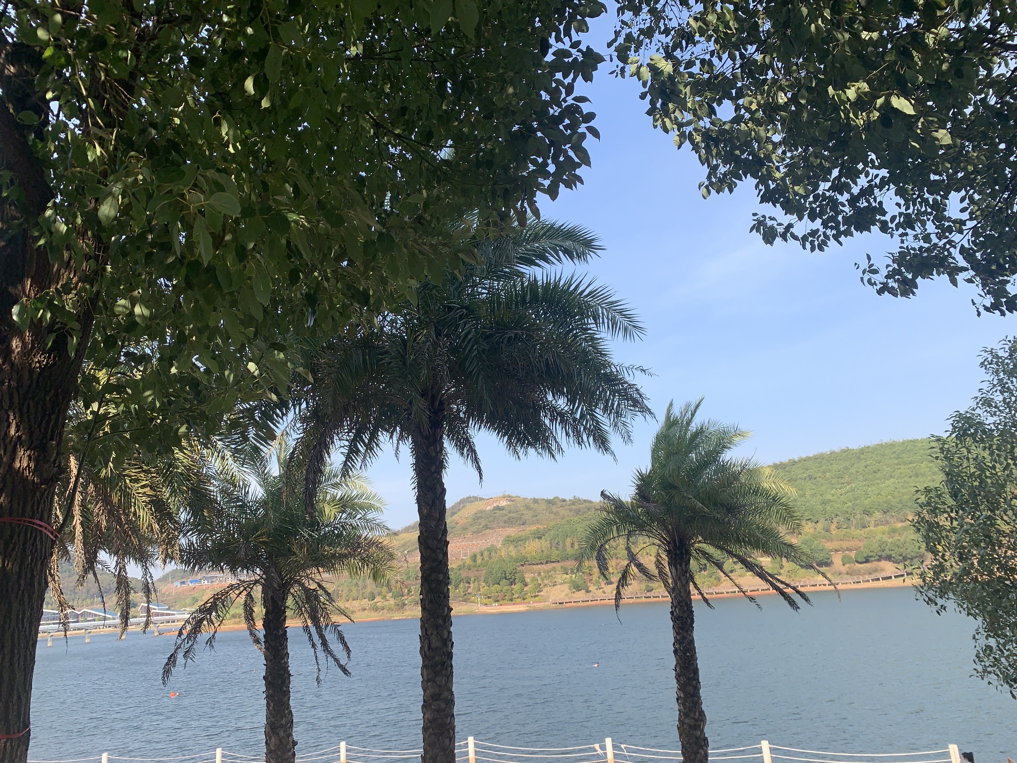 石盖塘沙滩公园旅行图片 3