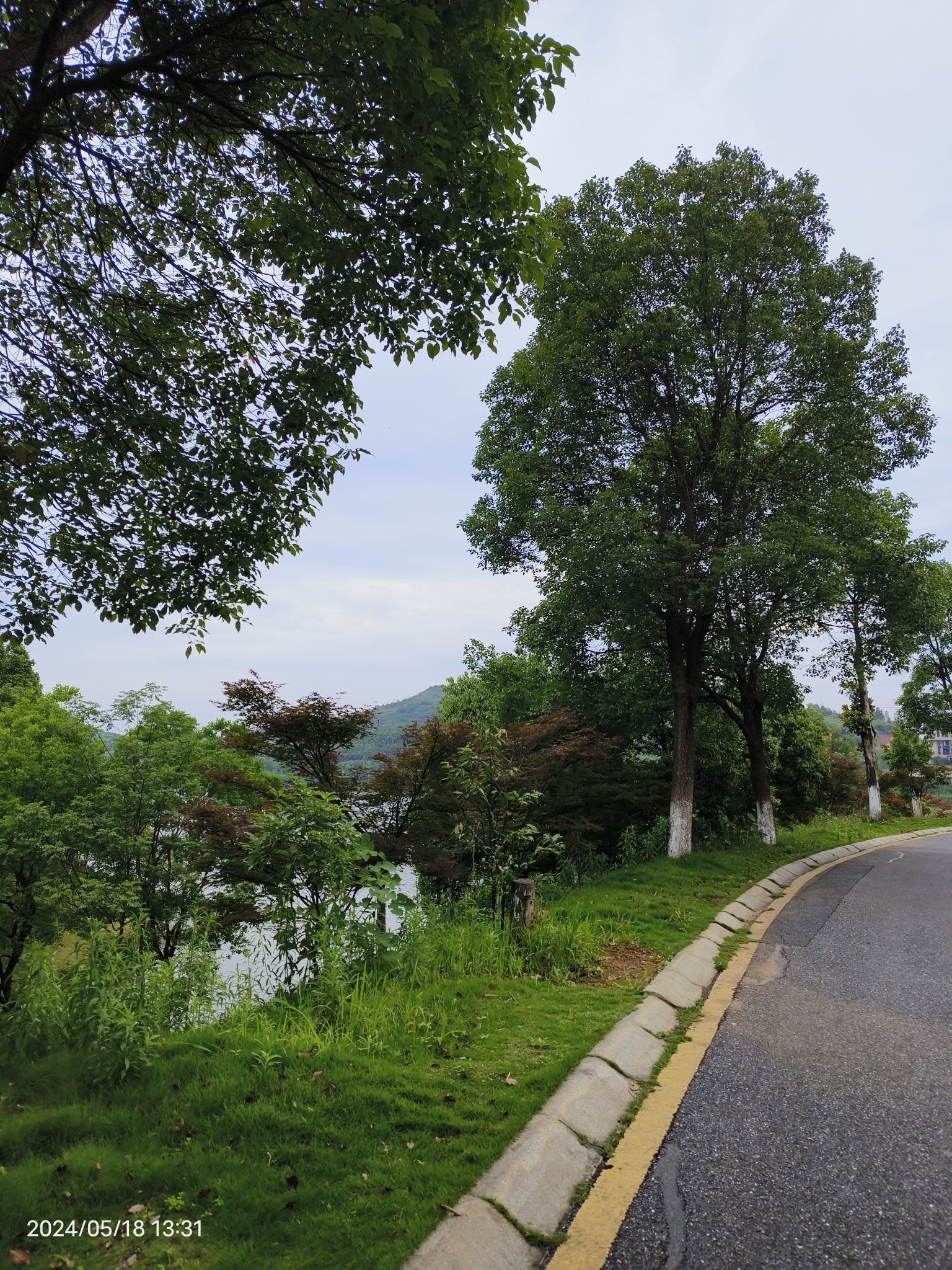 石盖塘沙滩公园旅行图片 2