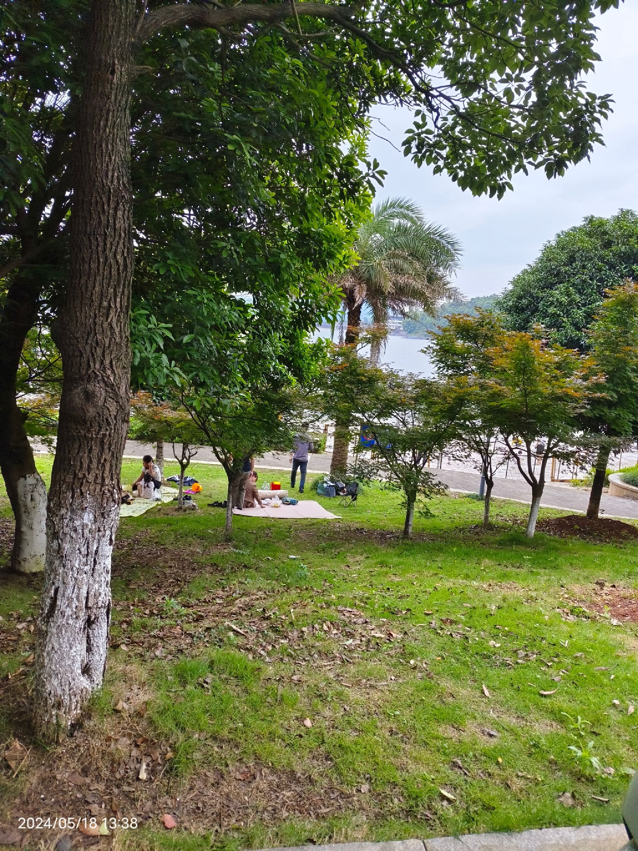 石盖塘沙滩公园旅行图片 1