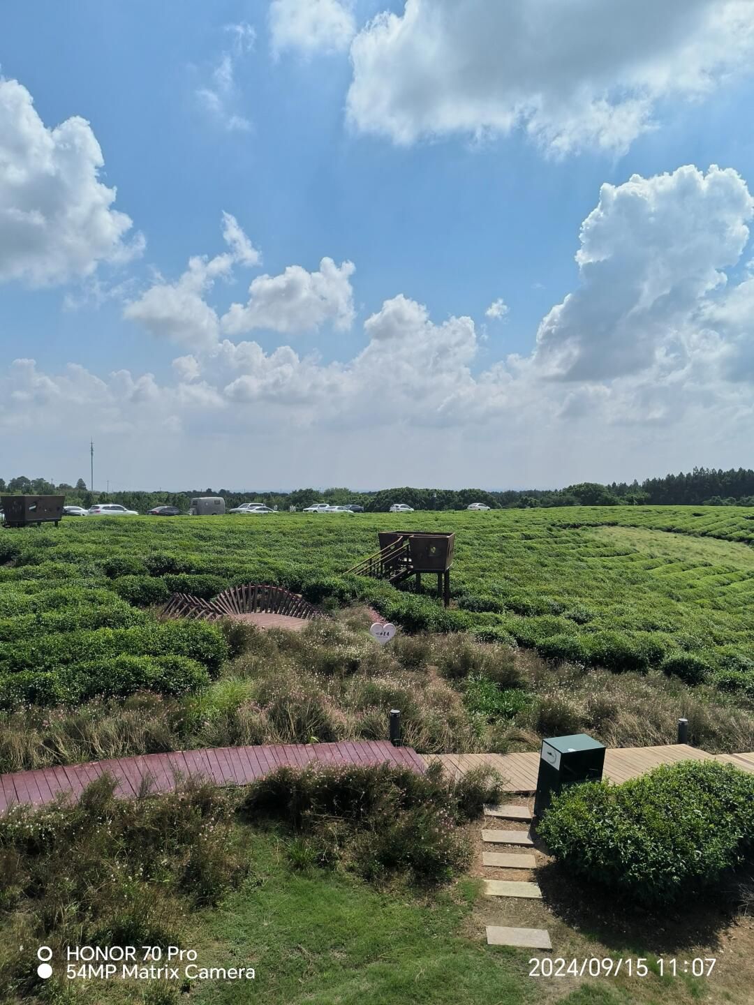 神女之心旅行图片 1