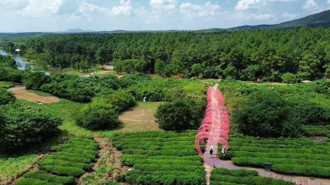 神女之心旅行图片 3