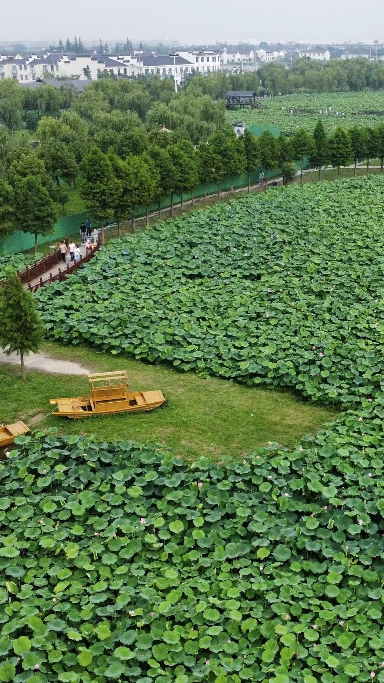 荷塘月色广场旅行图片 2