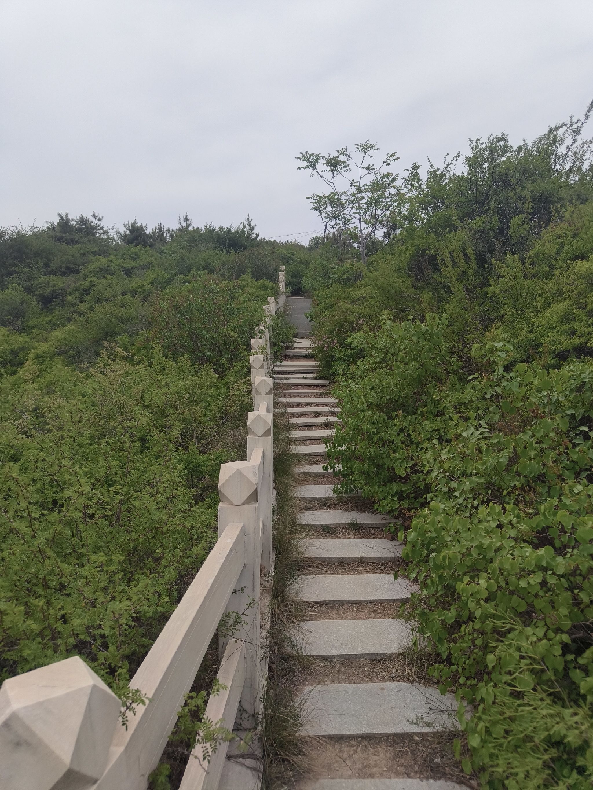 蒙山礼佛台旅行图片 1