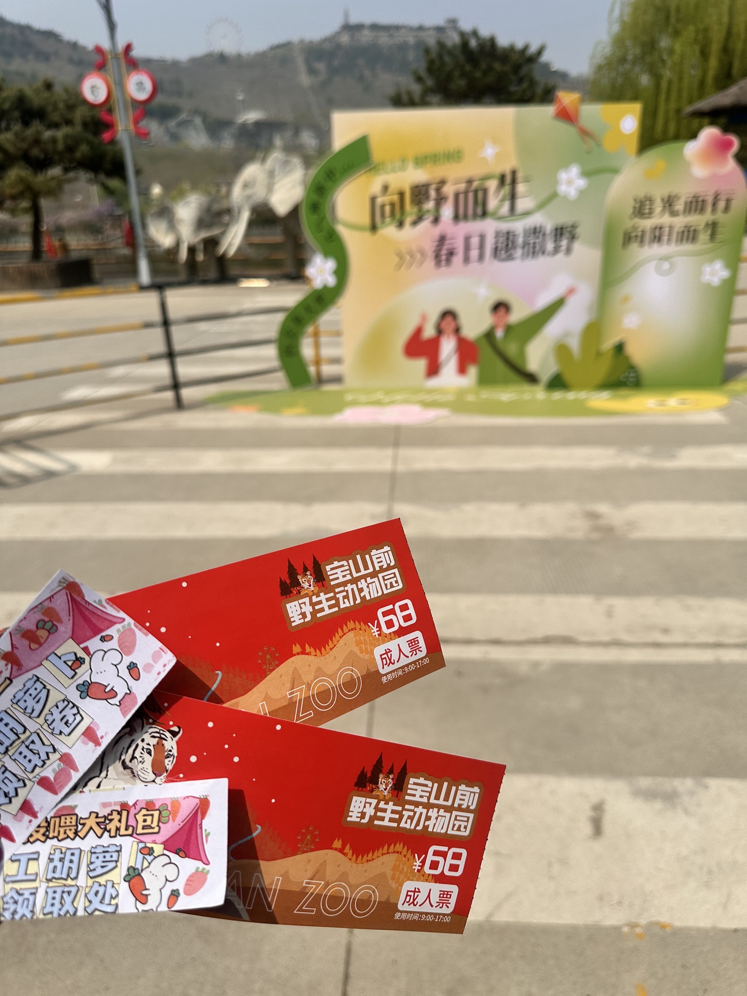 宝山前野生动物园旅行图片 3