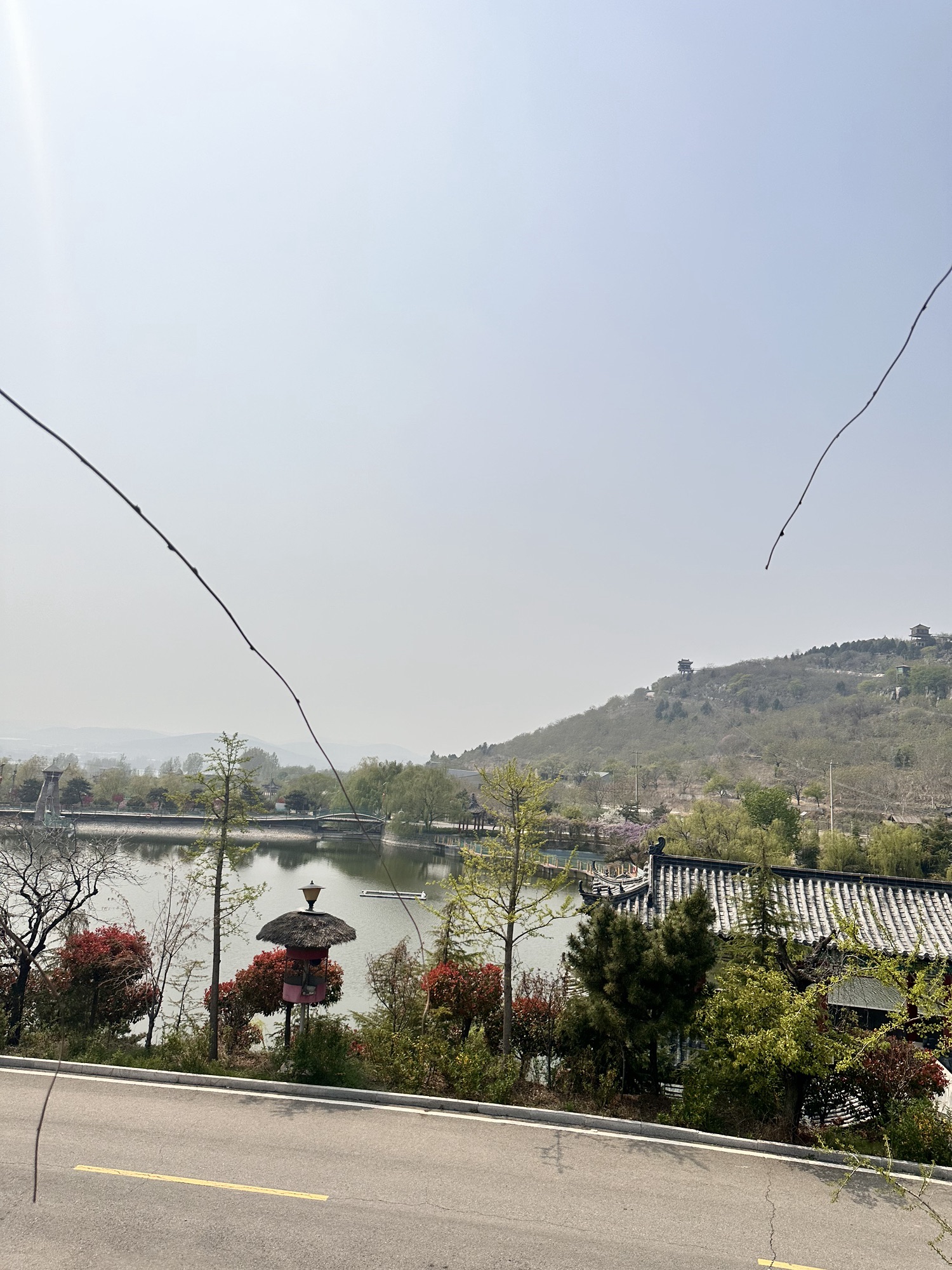 宝山前野生动物园旅行图片 1