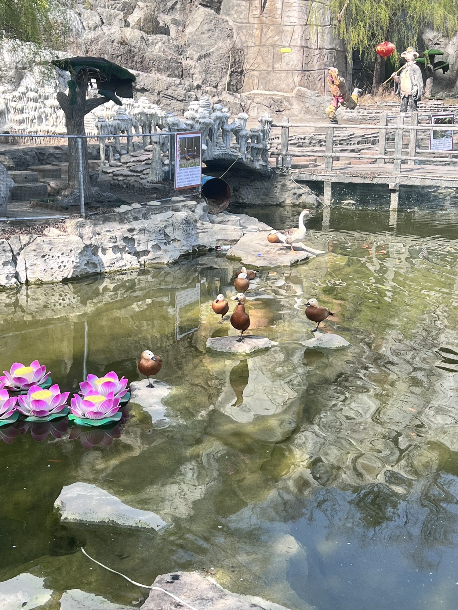 宝山前野生动物园旅行图片 2