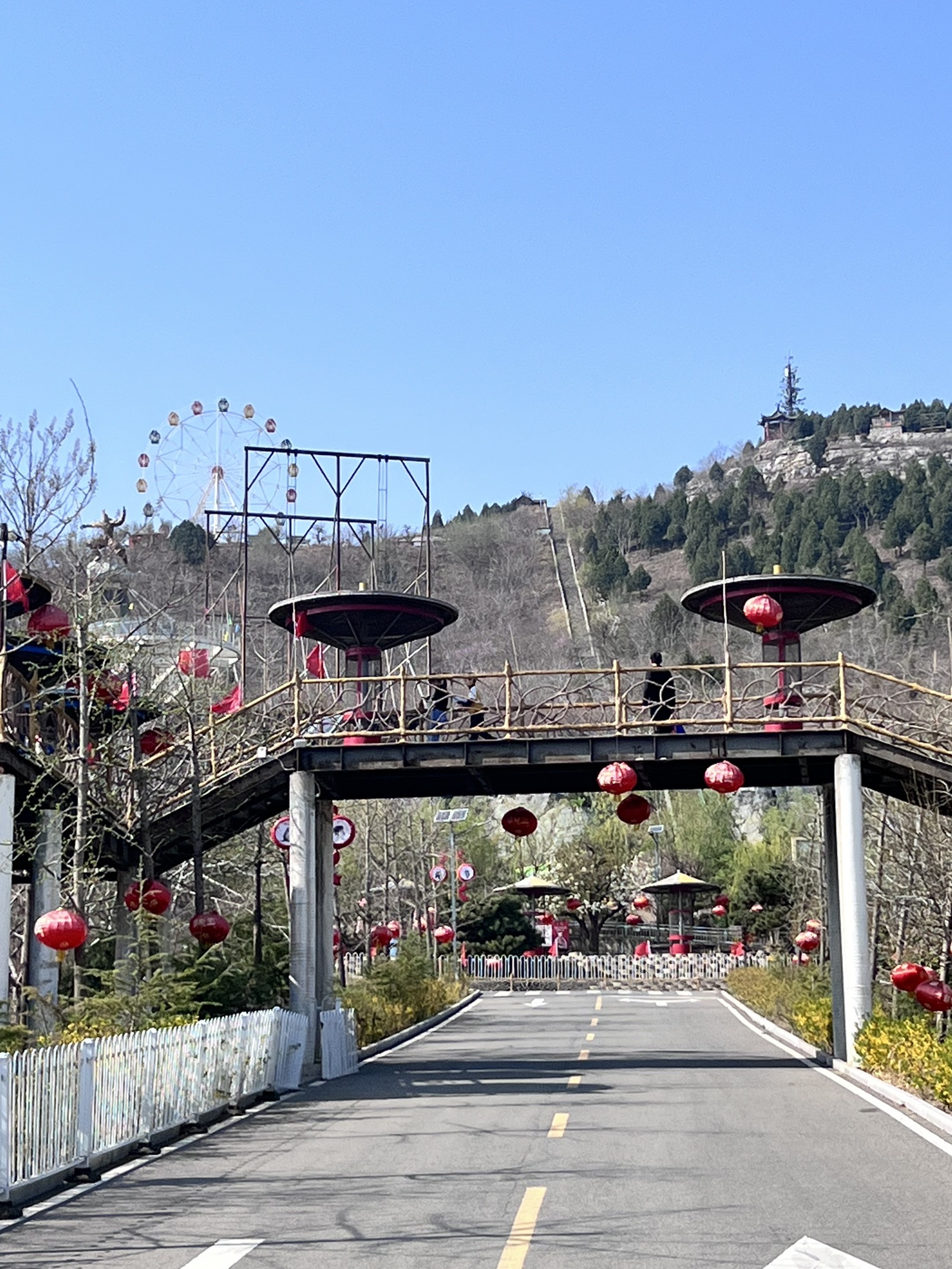 宝山前野生动物园旅行图片 3