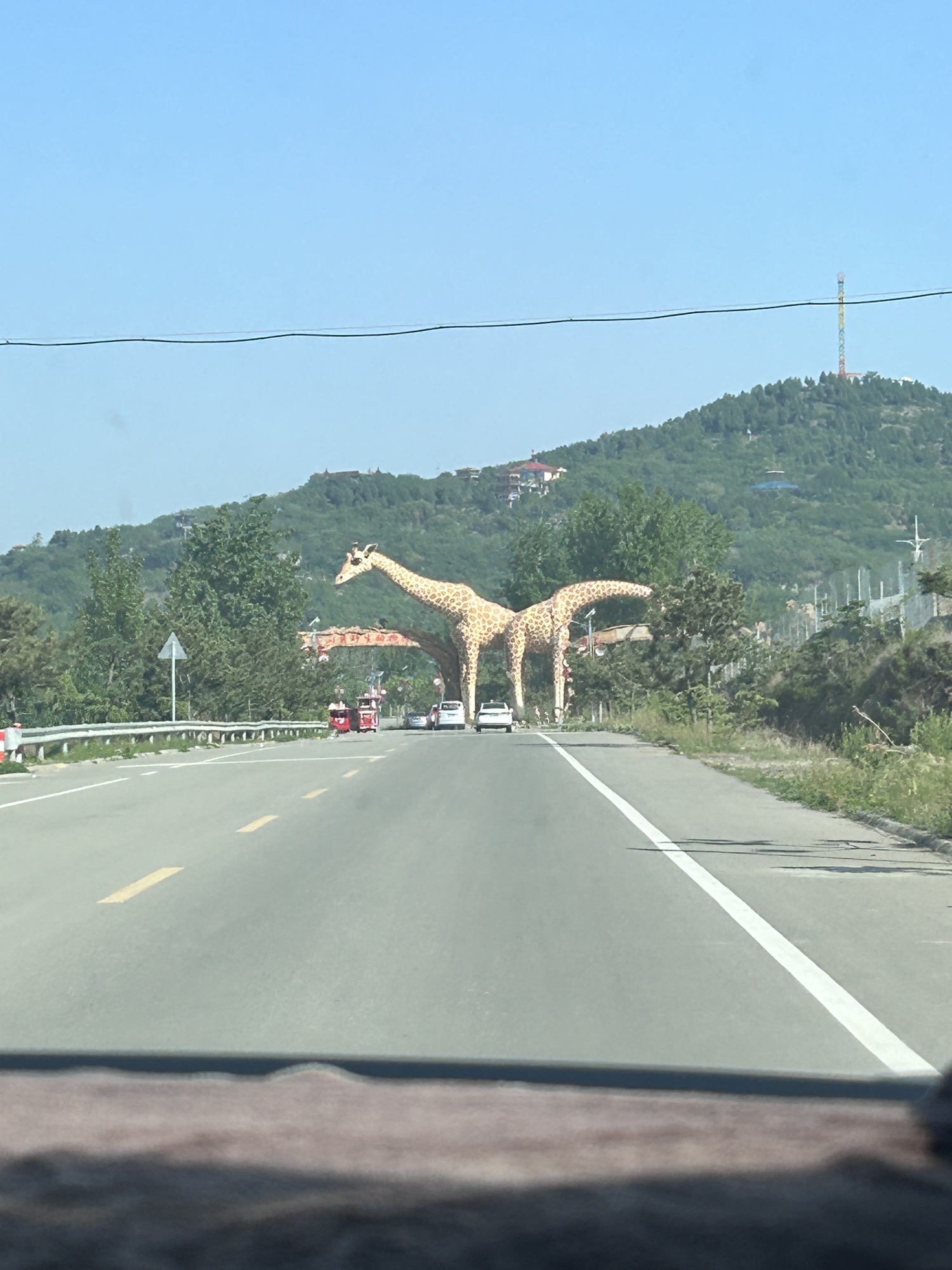 宝山前野生动物园旅行图片 1