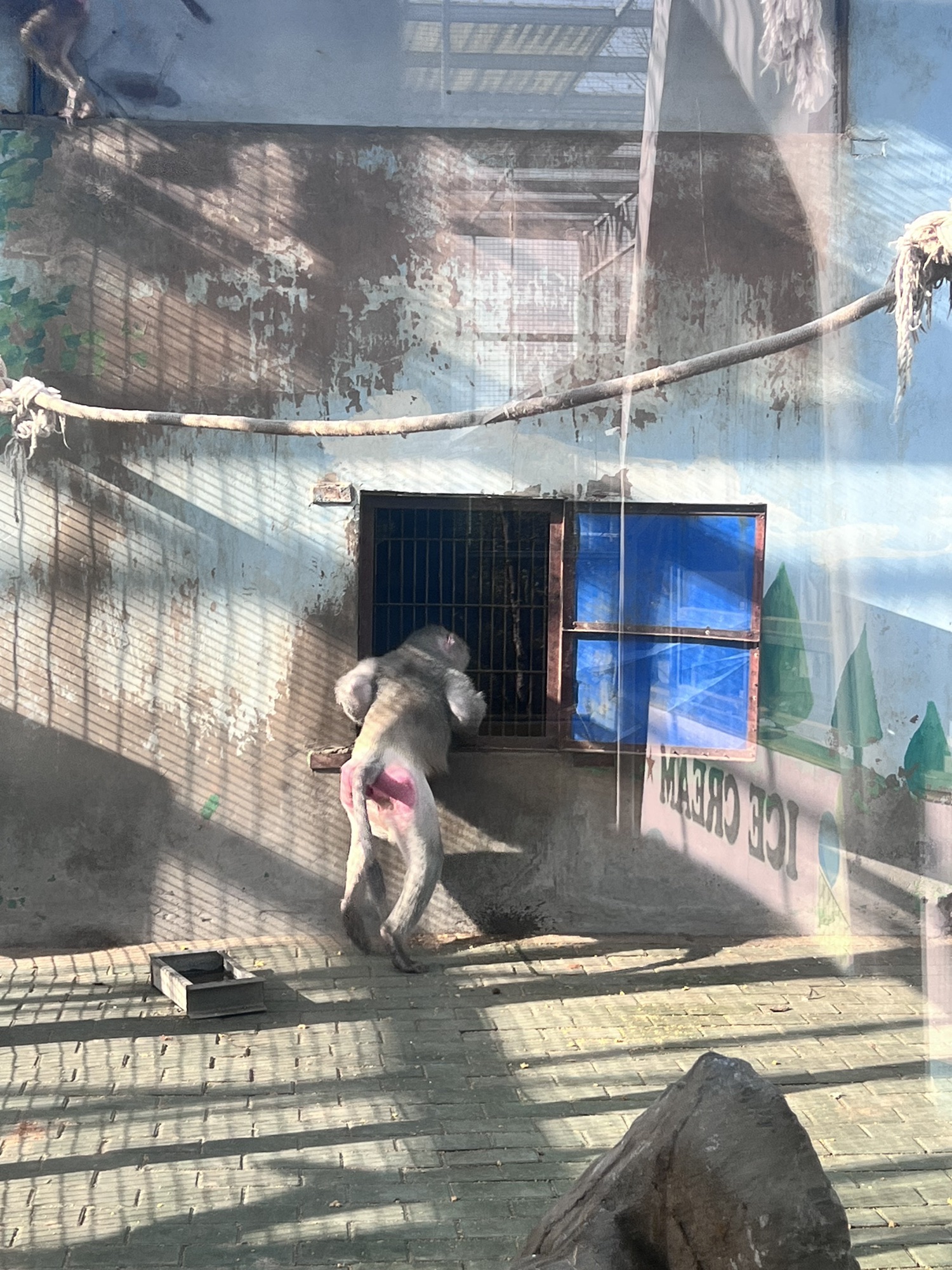 宝山前野生动物园旅行图片 1