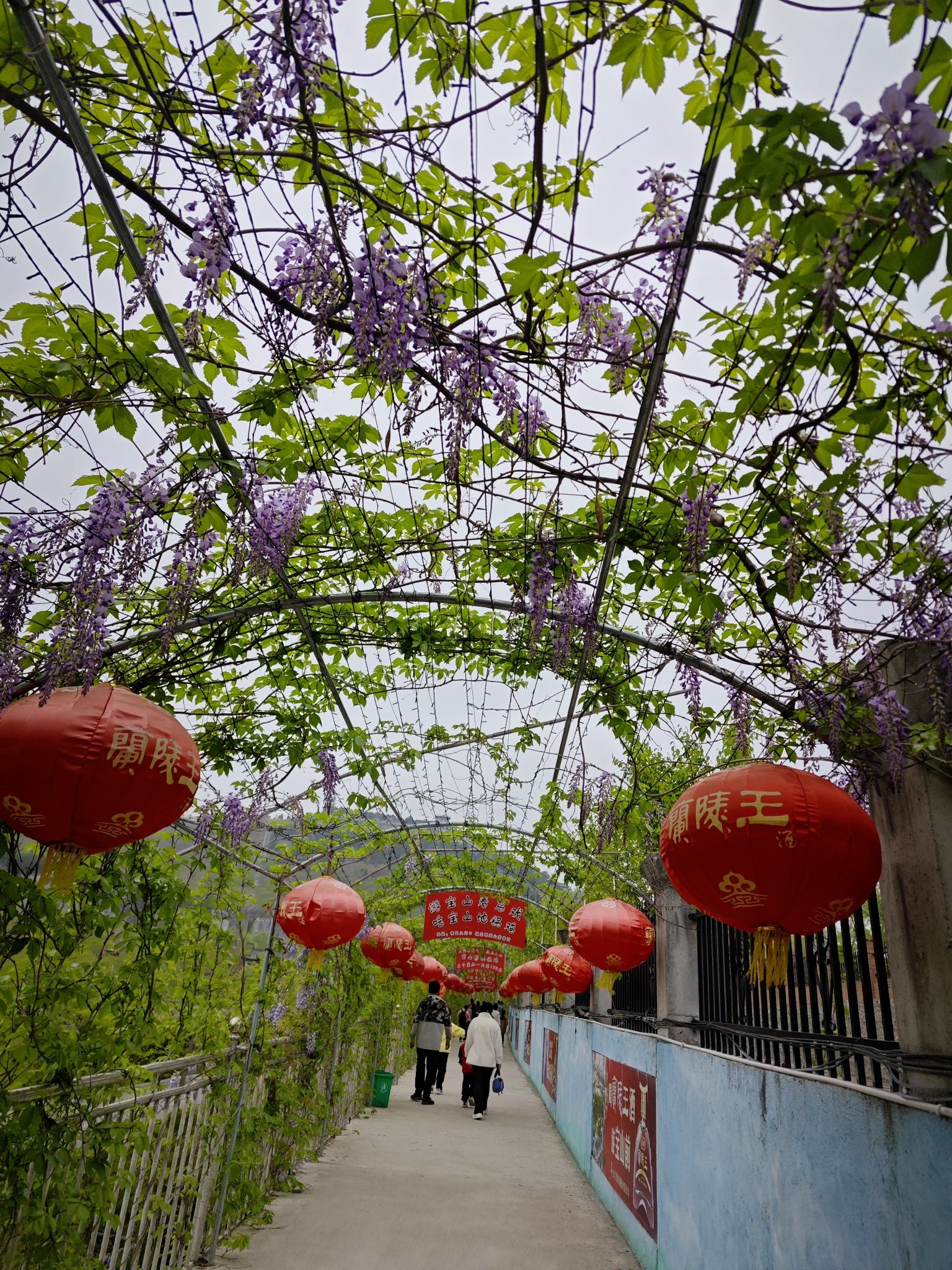 宝山前野生动物园旅行图片 1