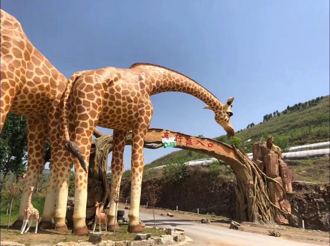 宝山前野生动物园旅行图片 3