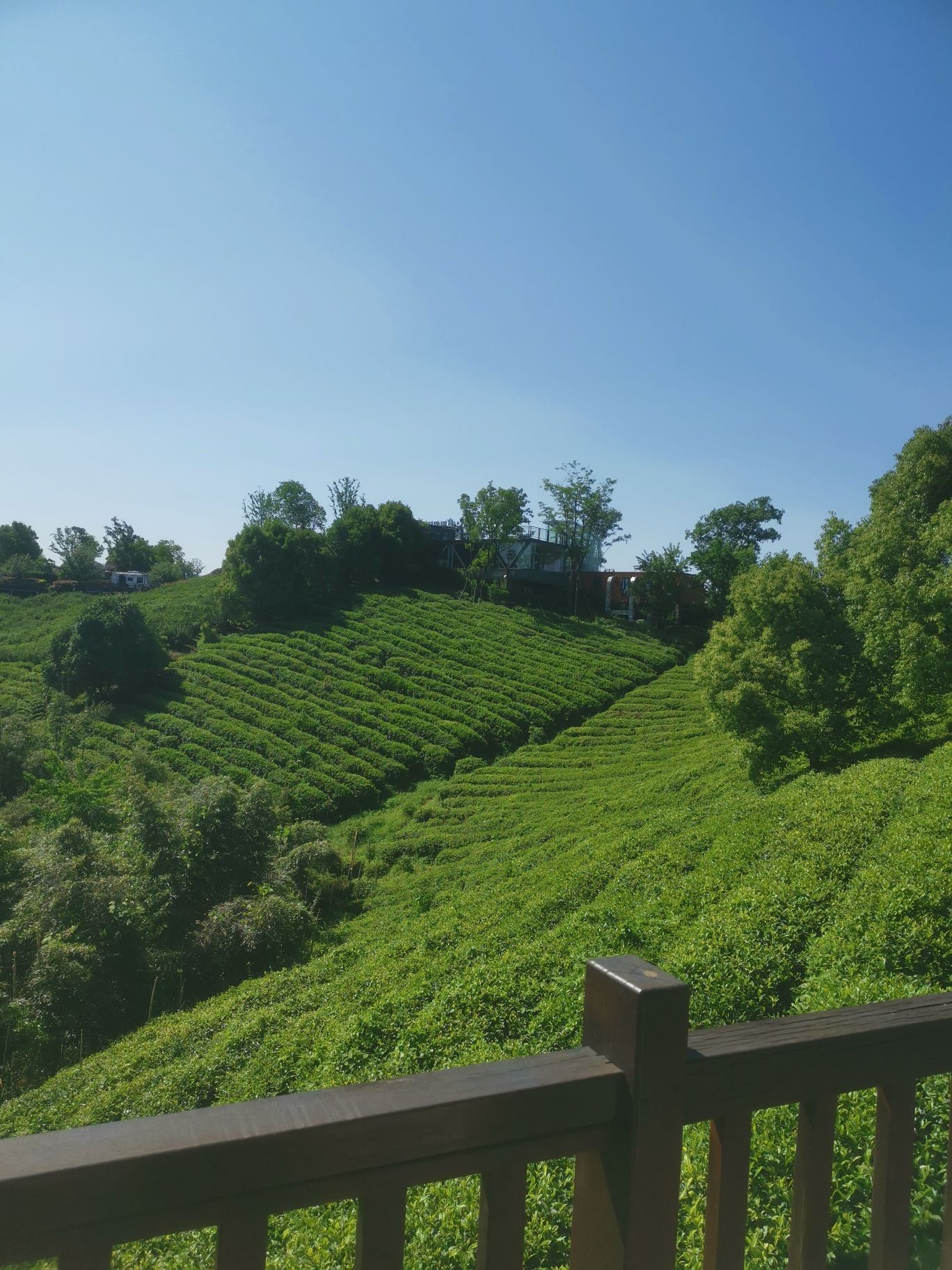 塔间春风十里小镇旅行图片 3