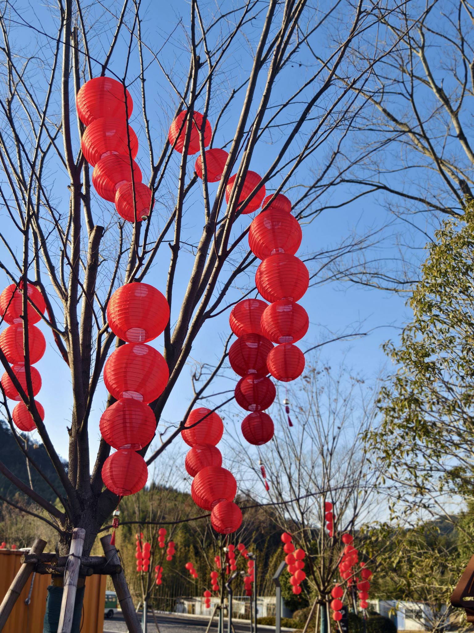 塔间春风十里小镇旅行图片 2