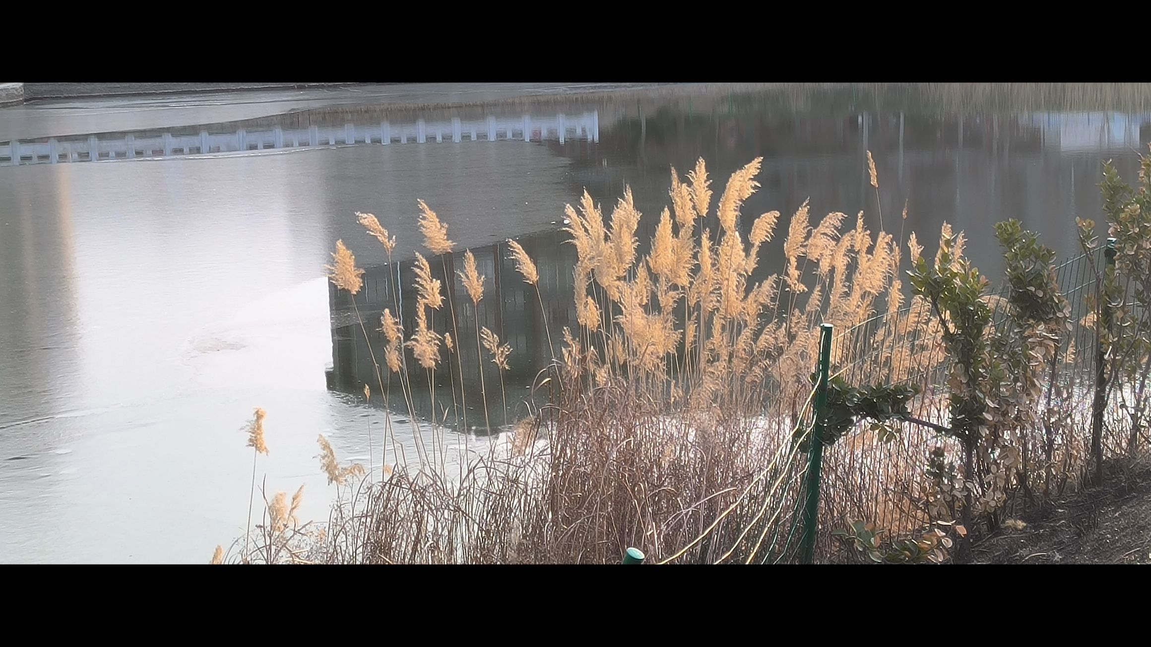 紫汇湖旅行图片 2