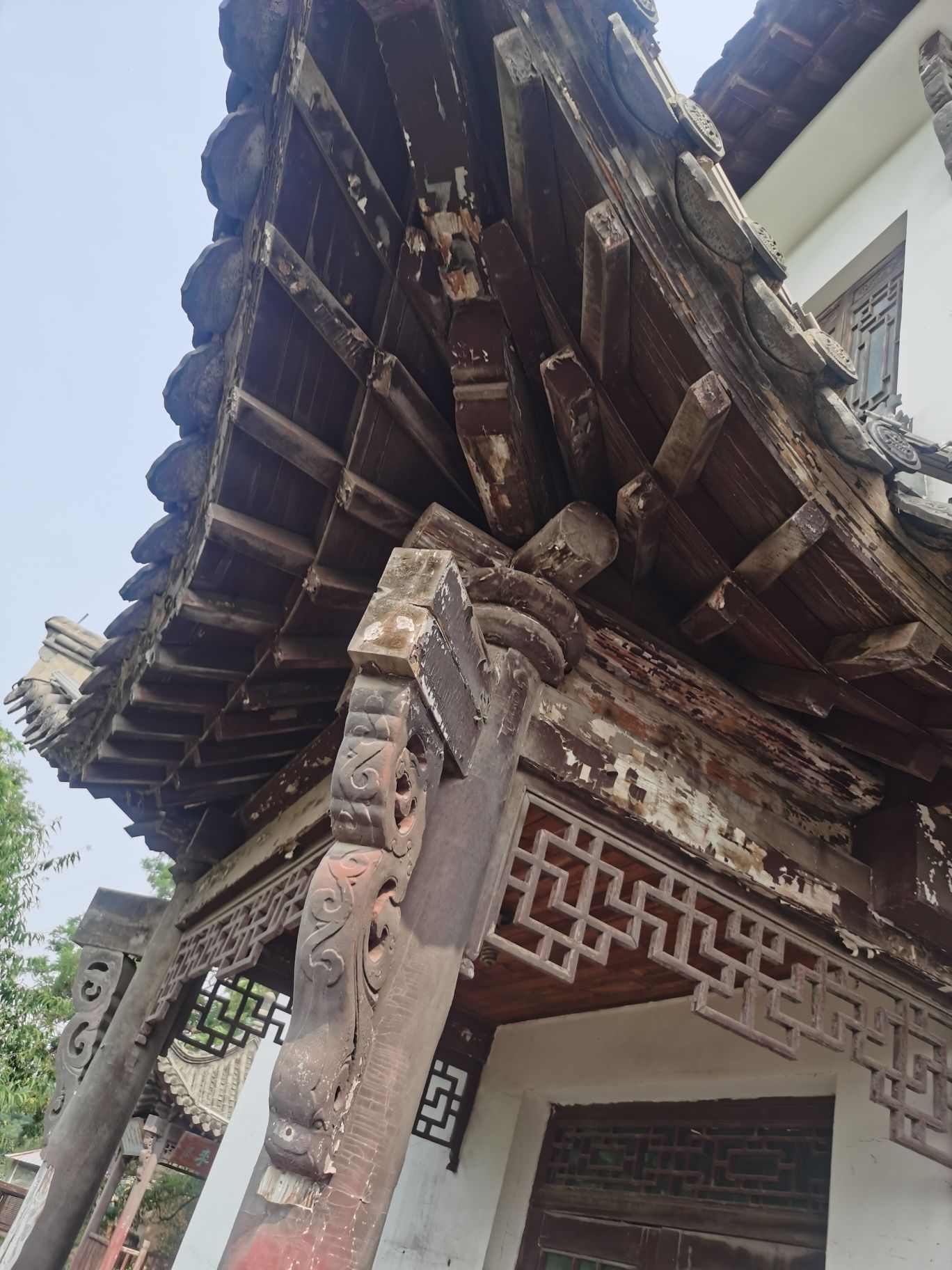 蟠龙山公园旅行图片 3