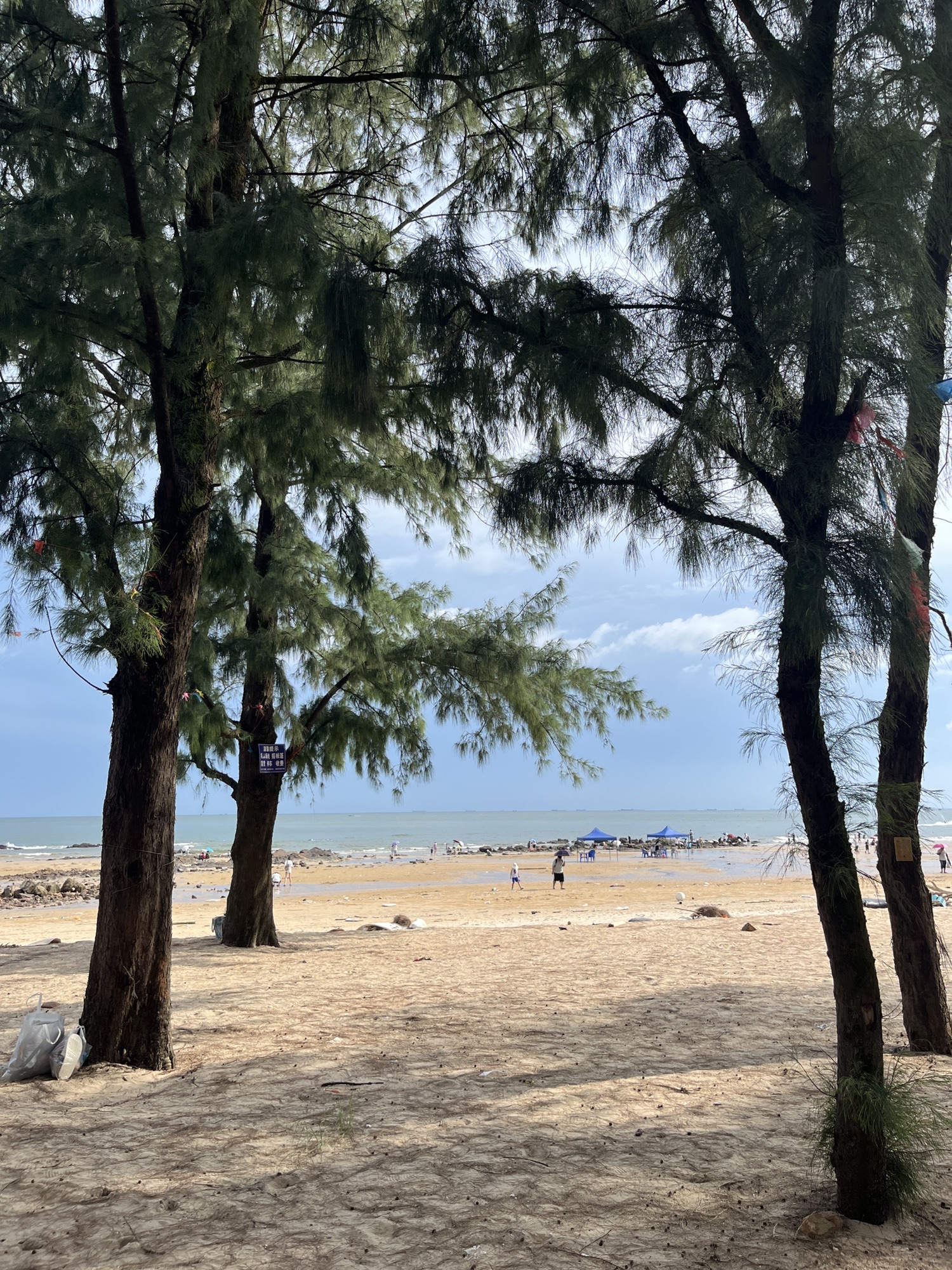 天堂角海滩旅行图片 2