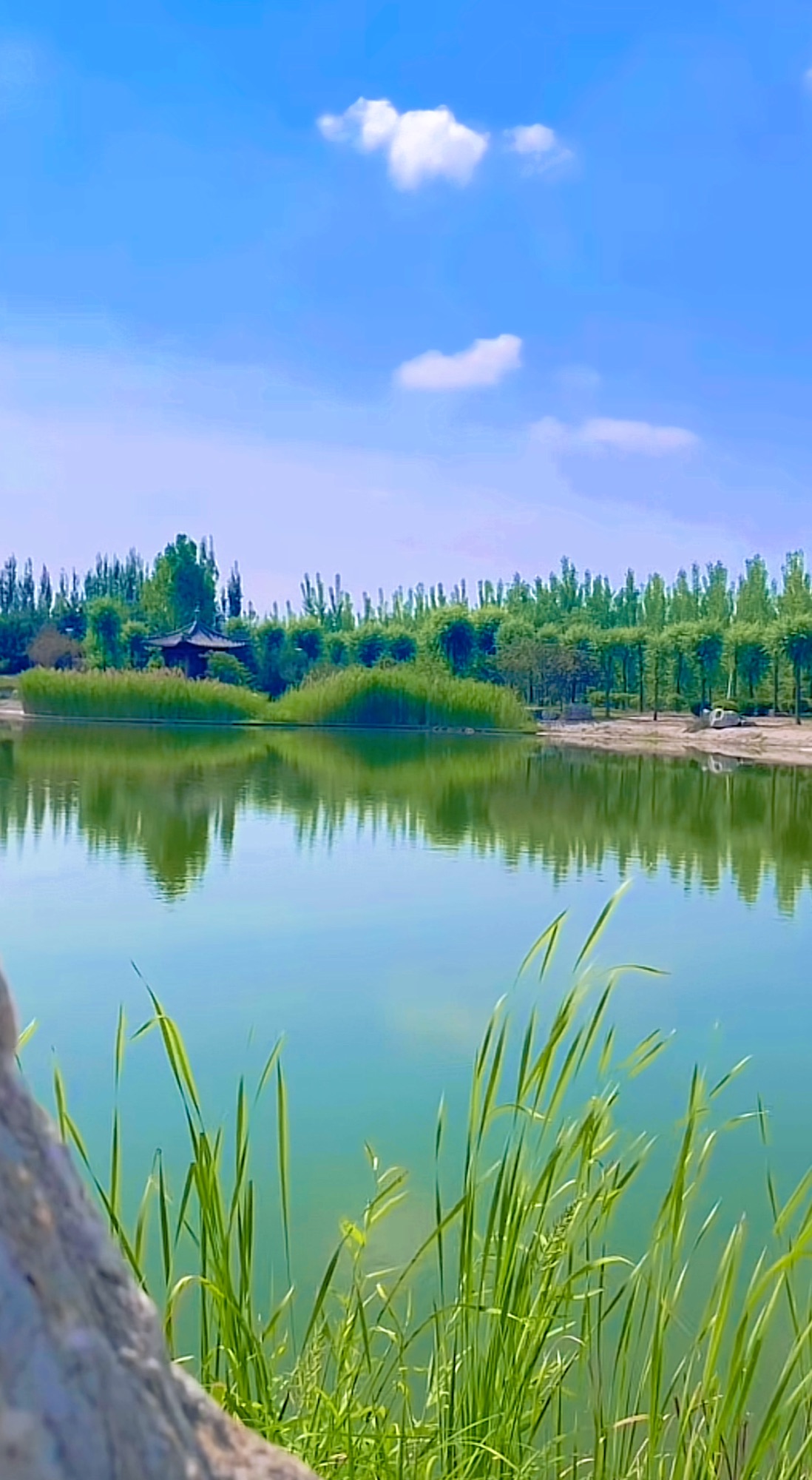 太公湖景区旅行图片 2