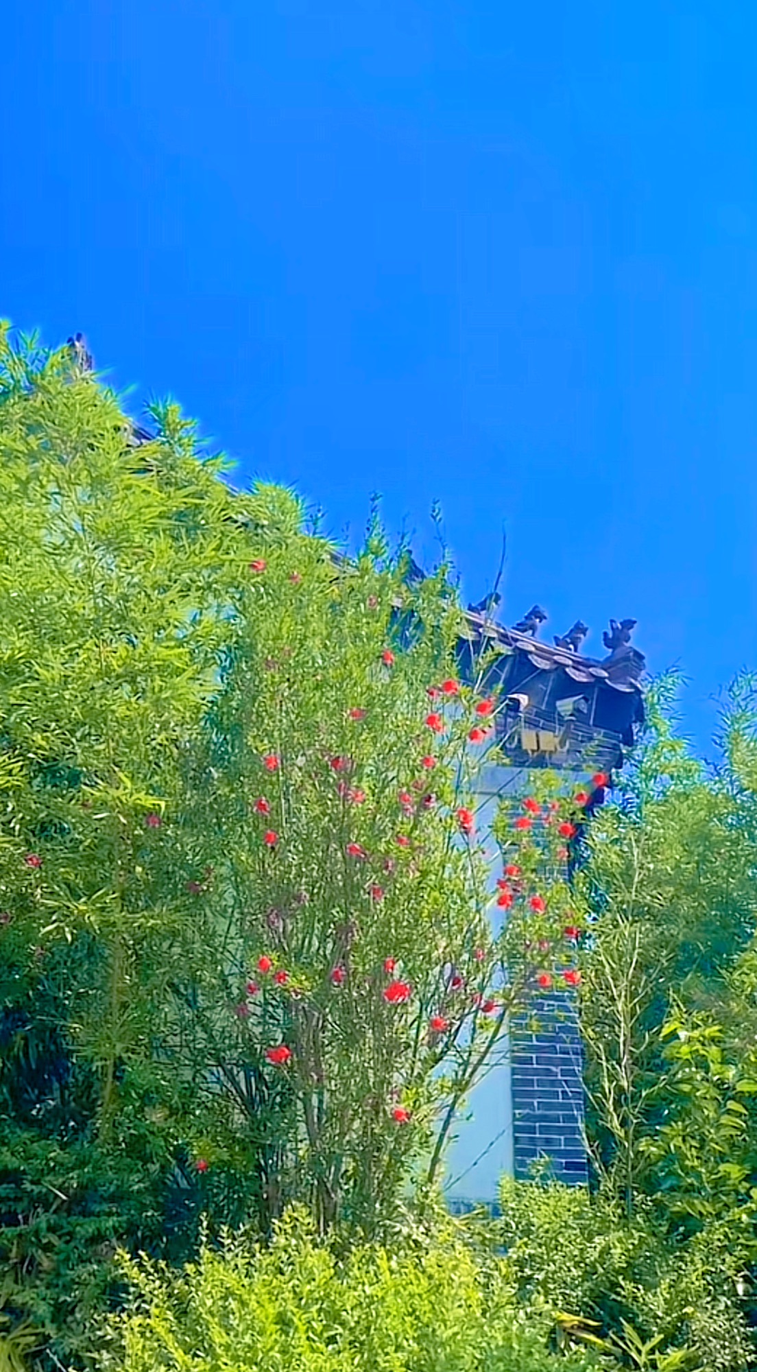 太公湖景区旅行图片 3