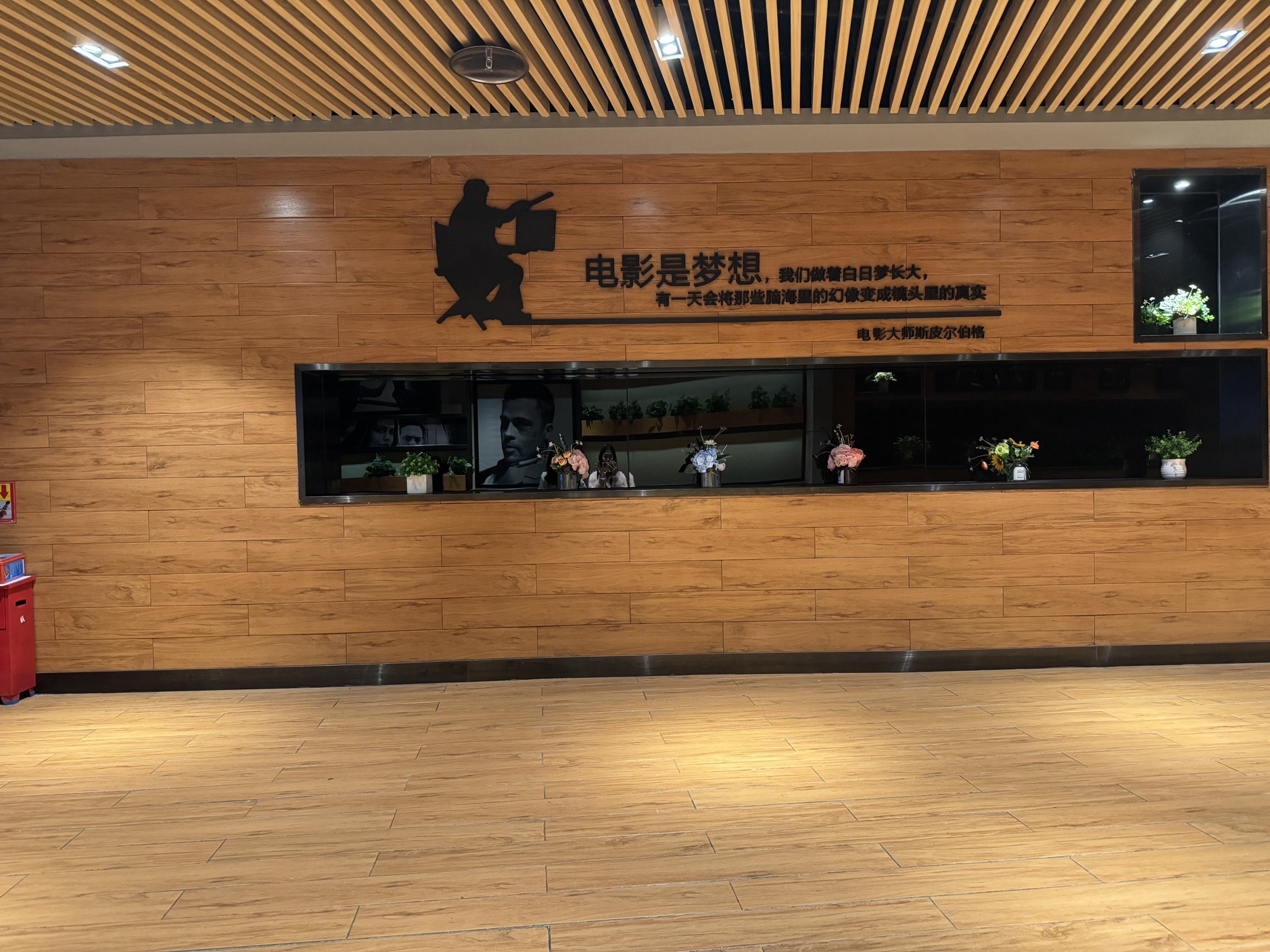 大地影院(云浮益华国际广场店)