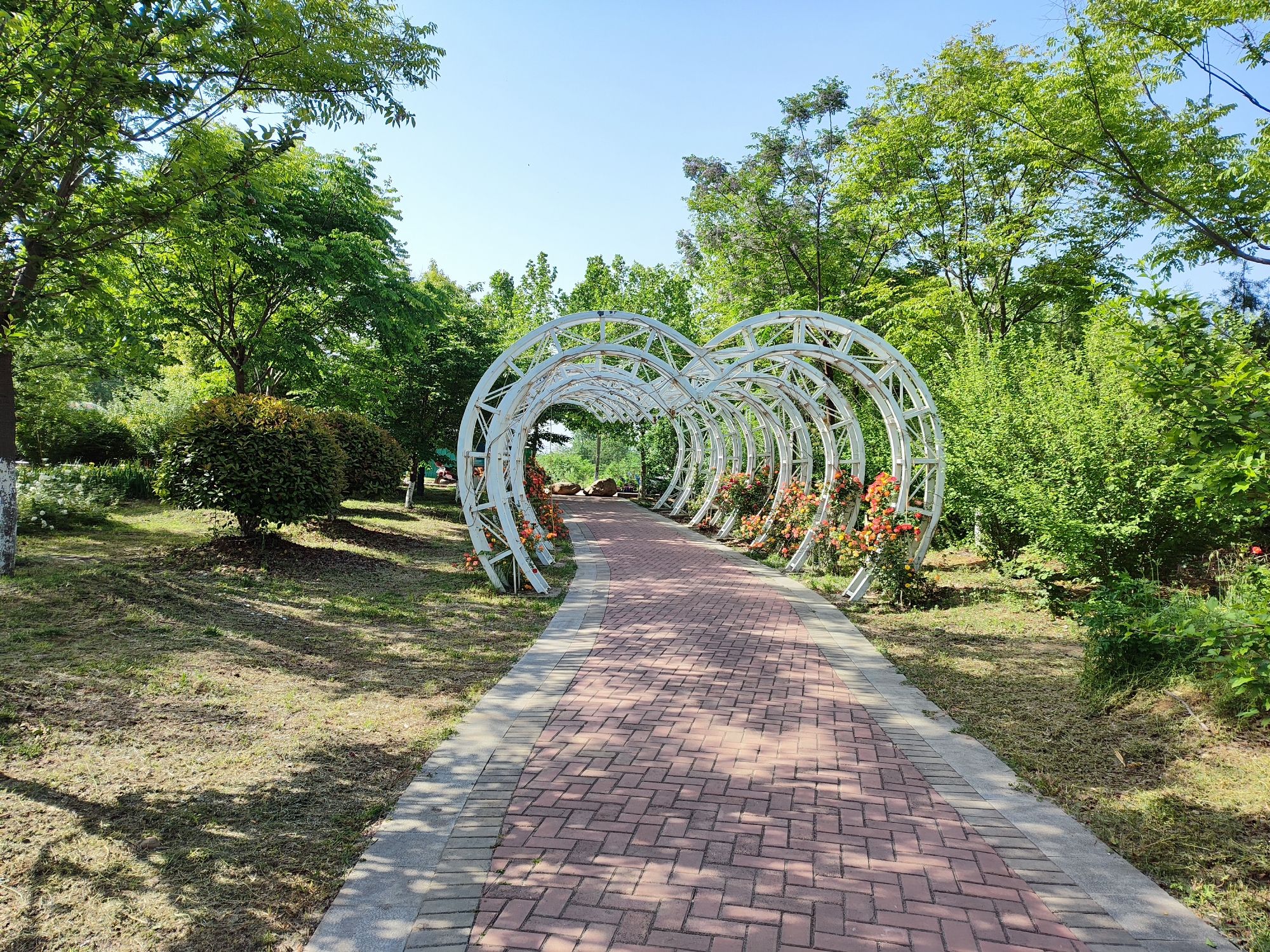 赵河双拥公园旅行图片 1
