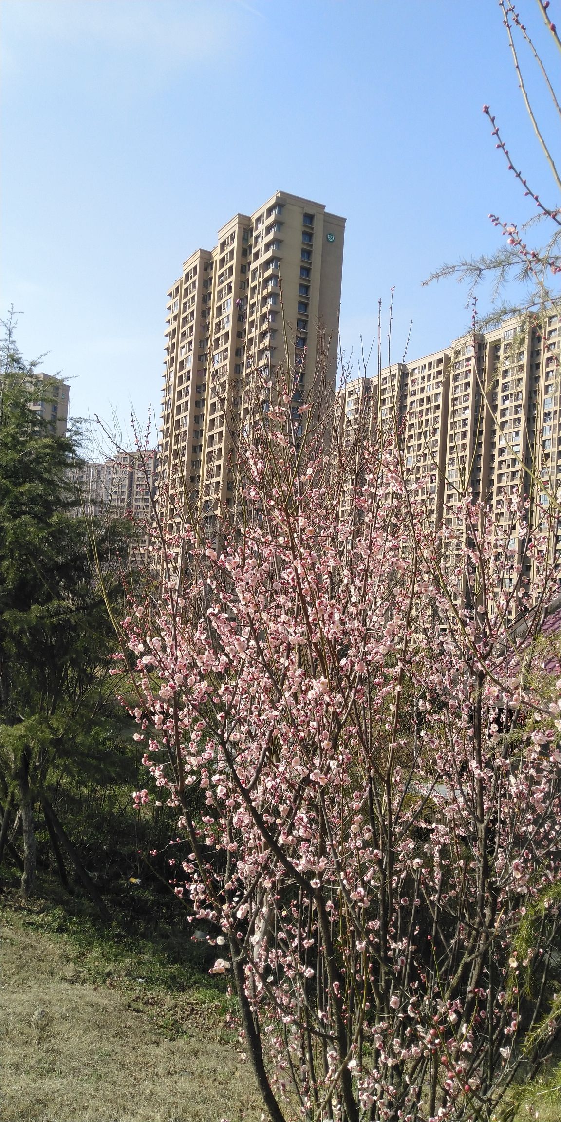 白家山名人铭园旅行图片 3
