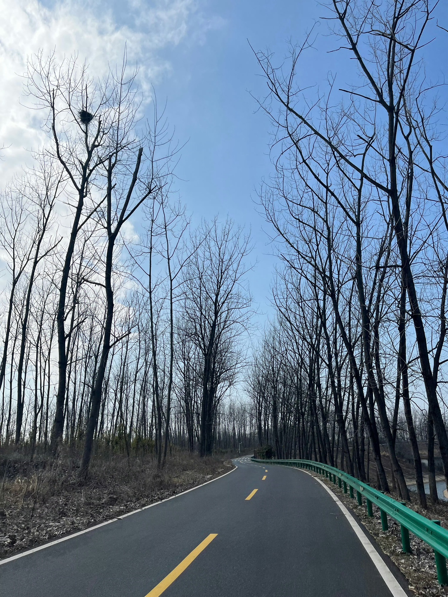 庐阳区三十岗生态农业旅游区旅行图片 1