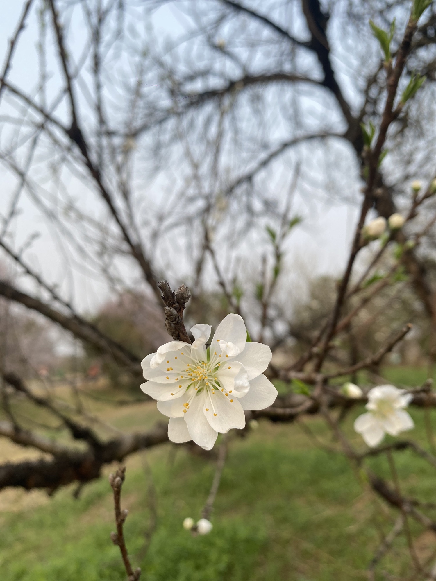 庐阳区三十岗生态农业旅游区旅行图片 3