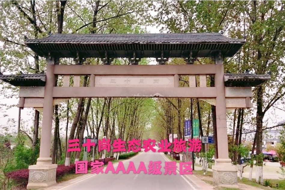 庐阳区三十岗生态农业旅游区旅行图片 1