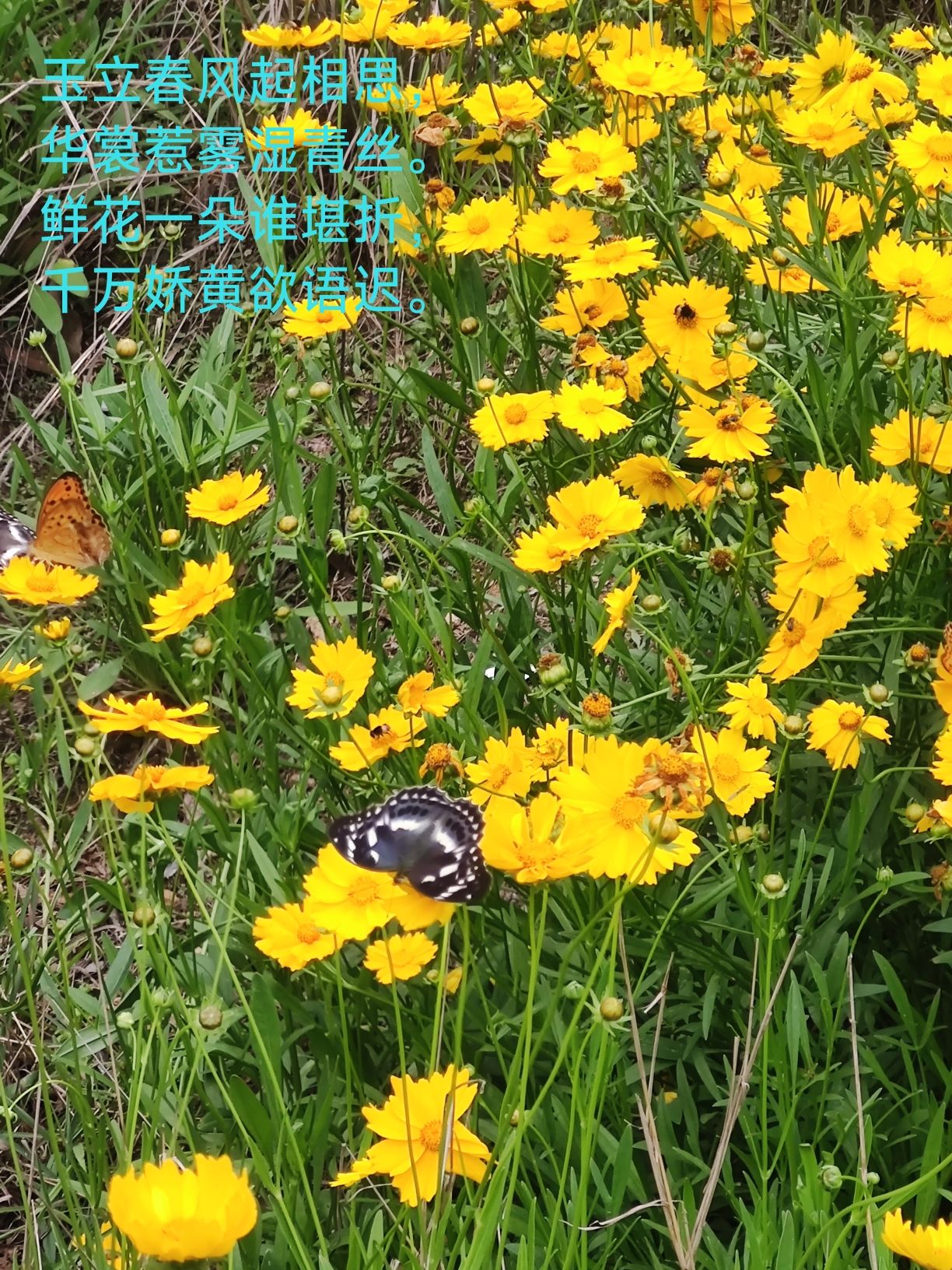 玉华山旅行图片 1