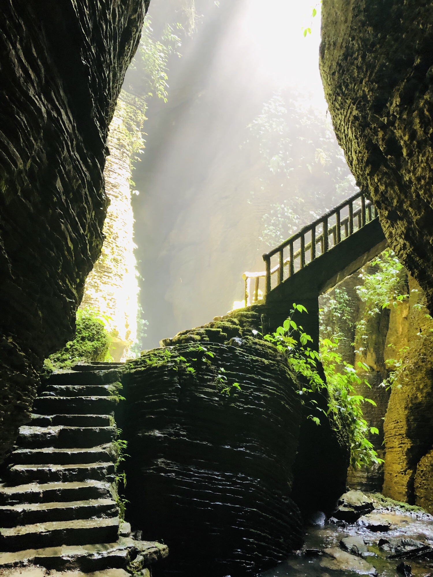 僰王山旅行图片 3