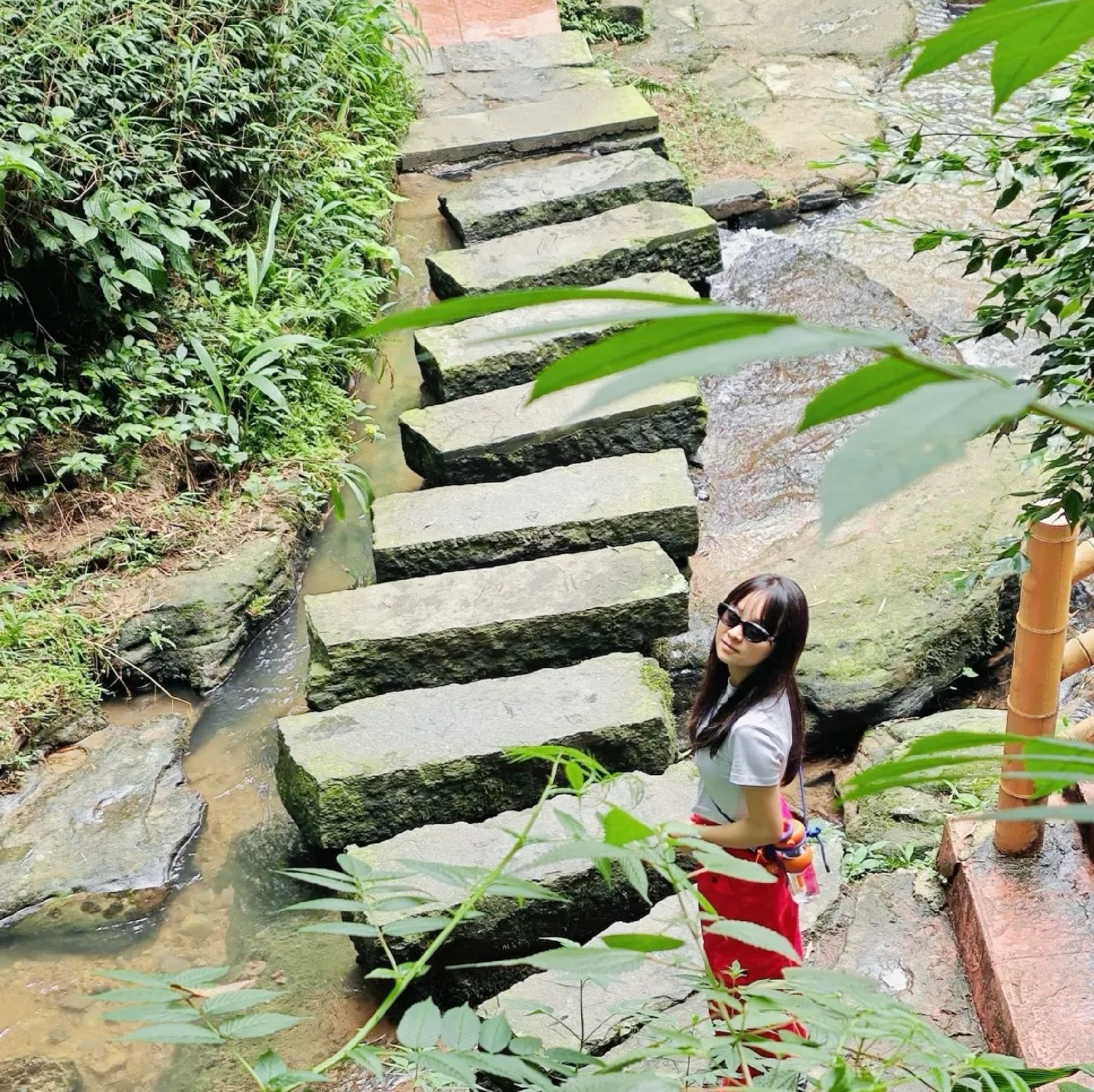 僰王山旅行图片 1