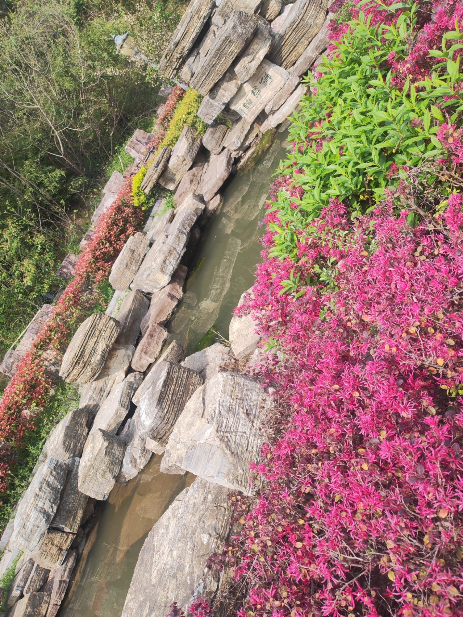 圣象广场旅行图片 3